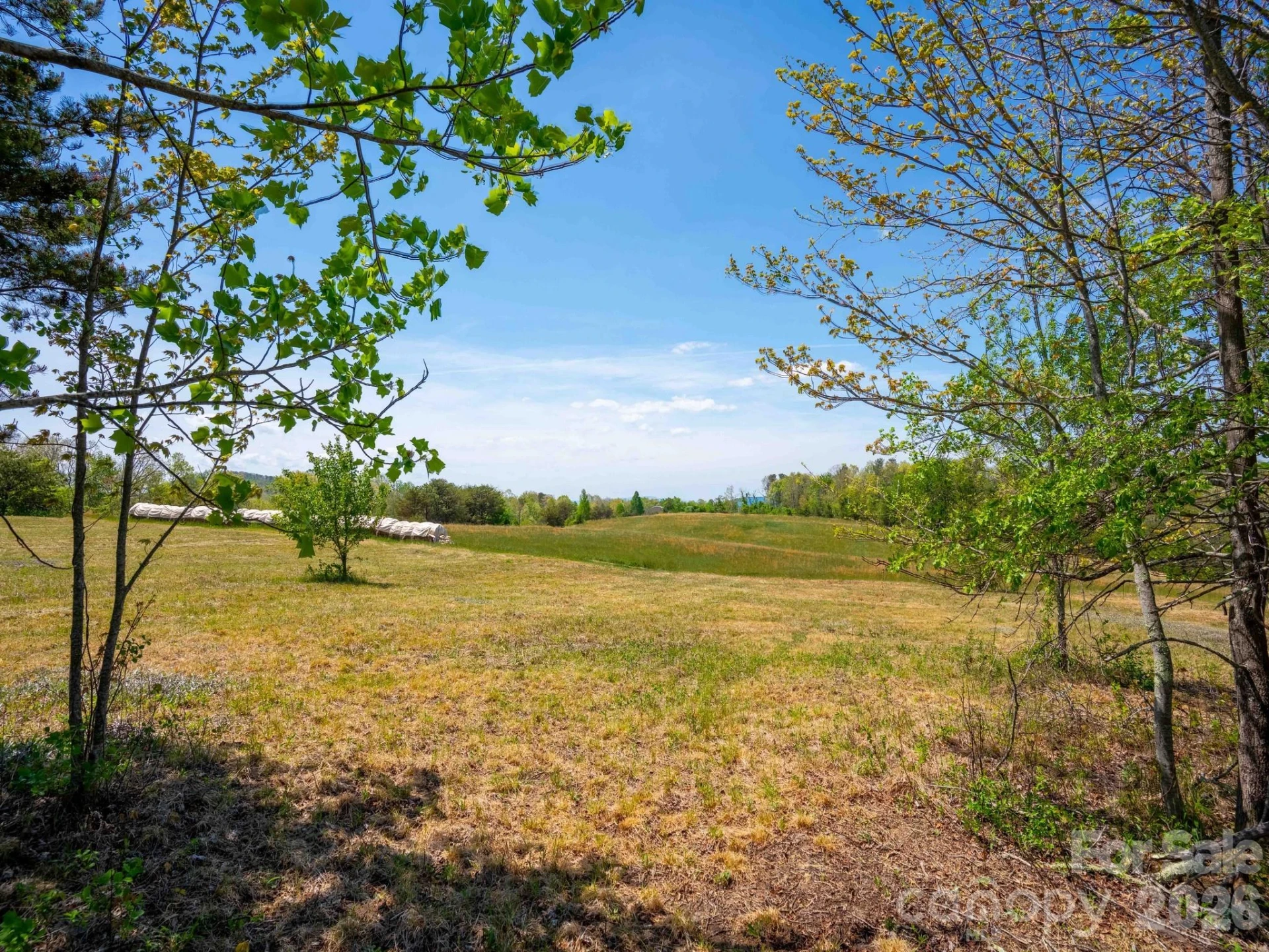 3646 Summer Road - Photo 7