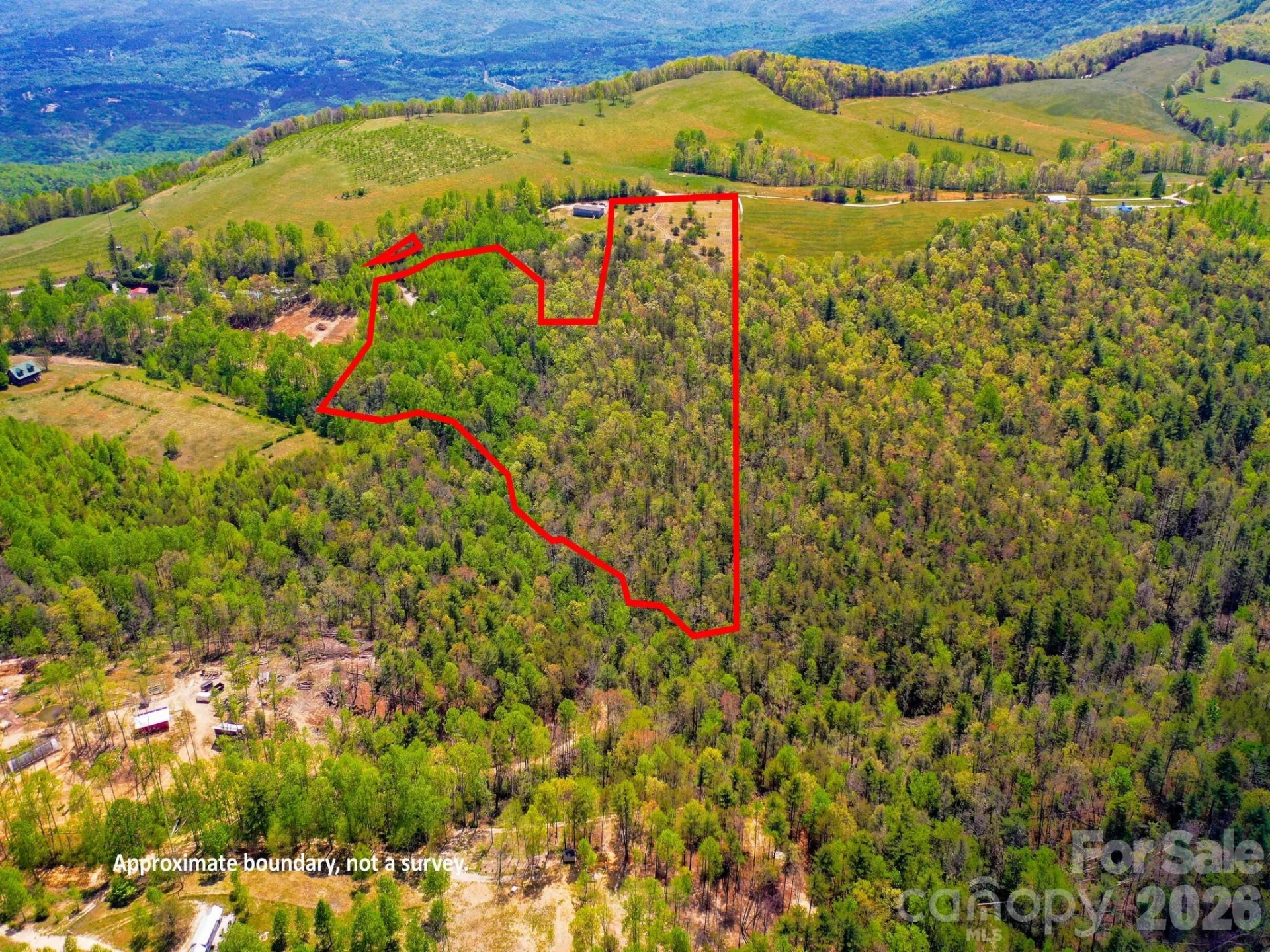 3646 Summer Road - Photo 10