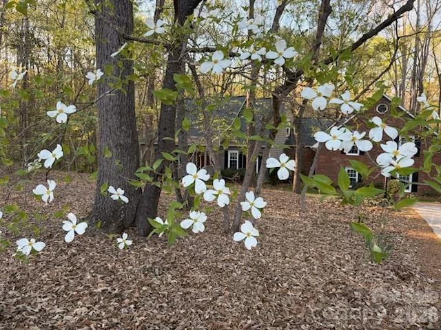 1712 Saddlewood Drive - Photo 40