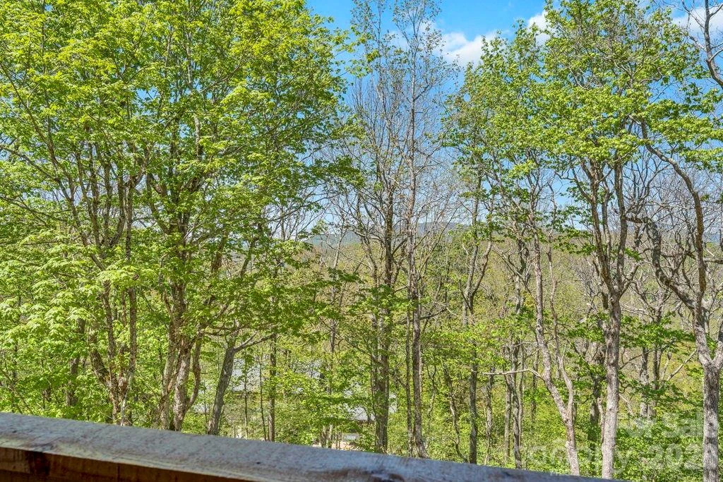 536 Boone Ridge Lane - Photo 13