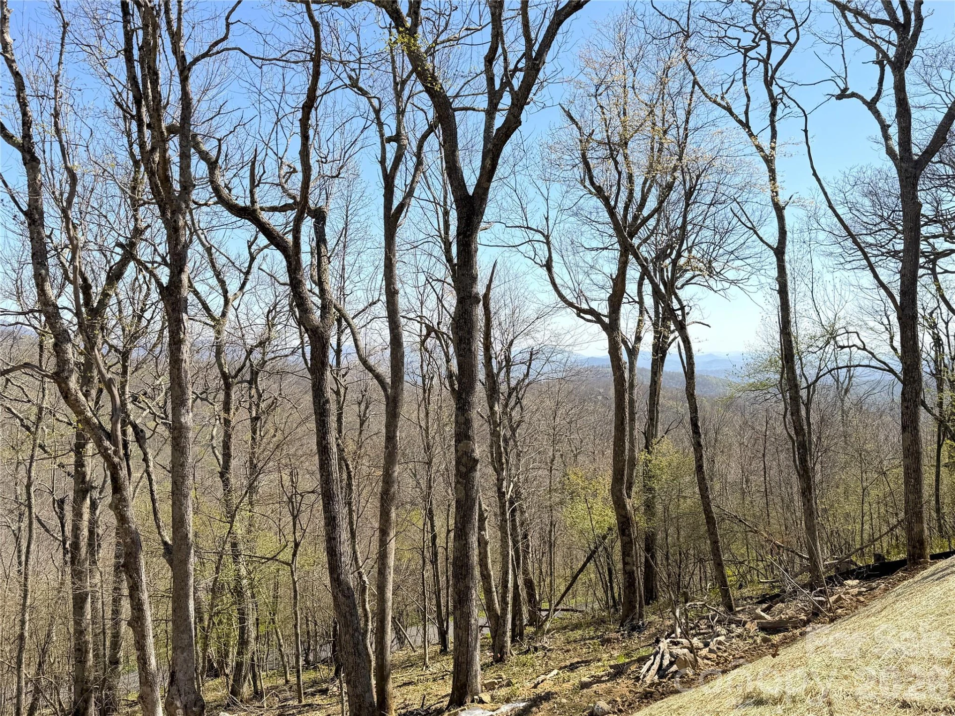 536 Boone Ridge Lane - Photo 14