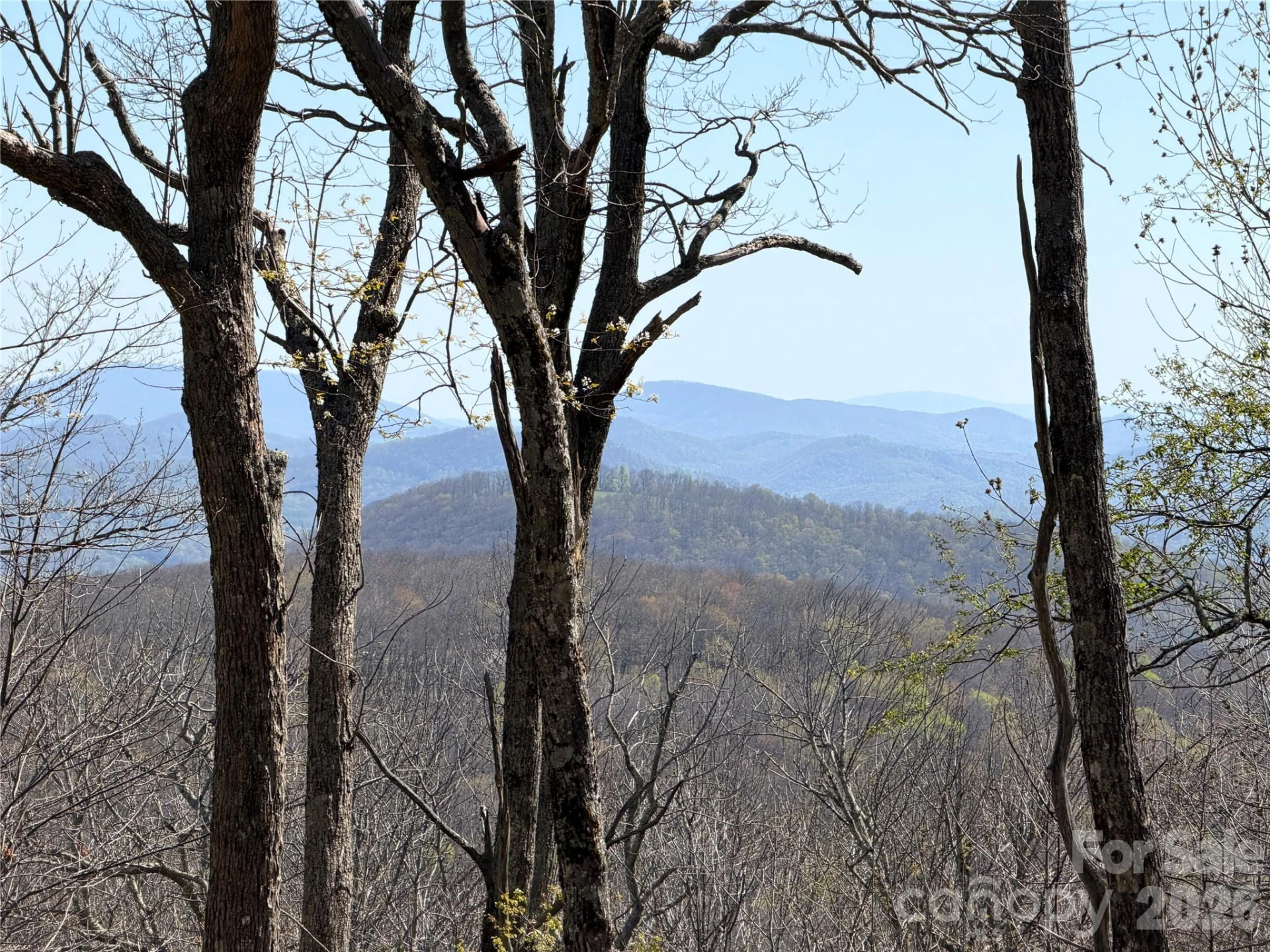 536 Boone Ridge Lane - Photo 3
