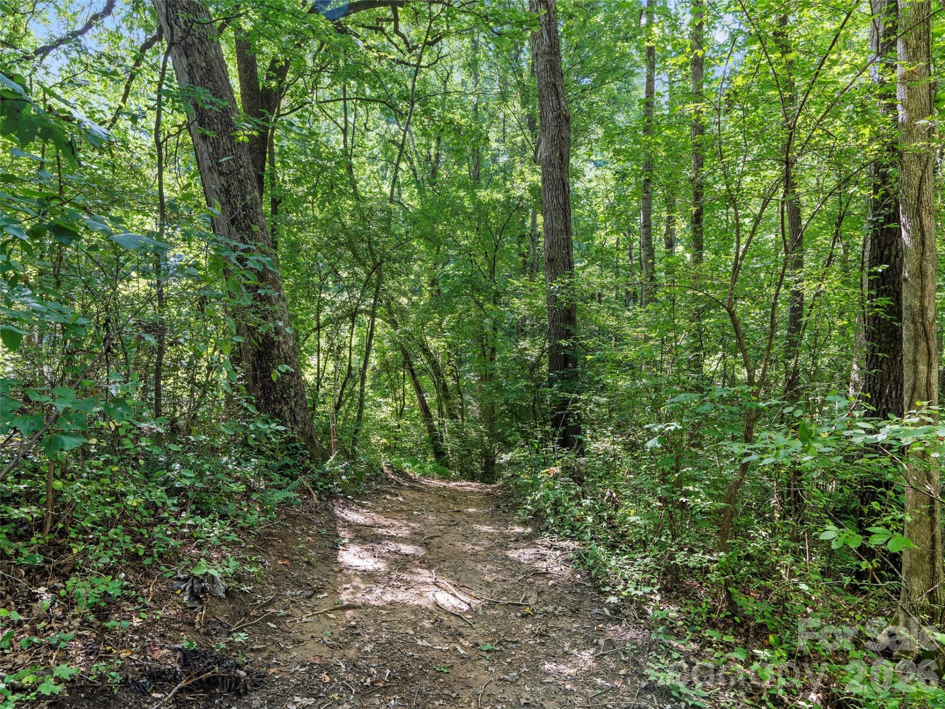 115 Bittersweet Trail - Photo 41