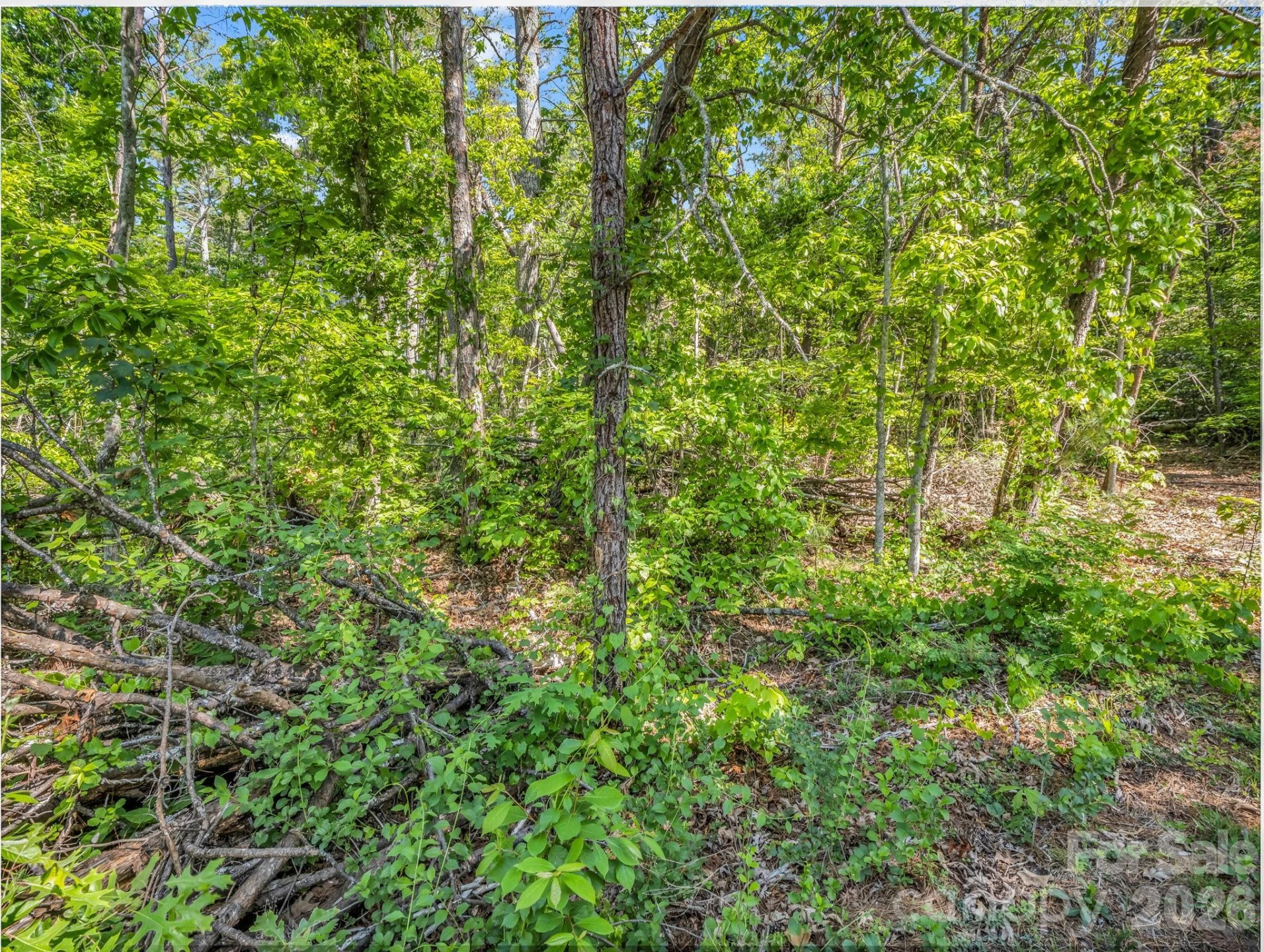 9999 Sedgewood Court - Photo 3