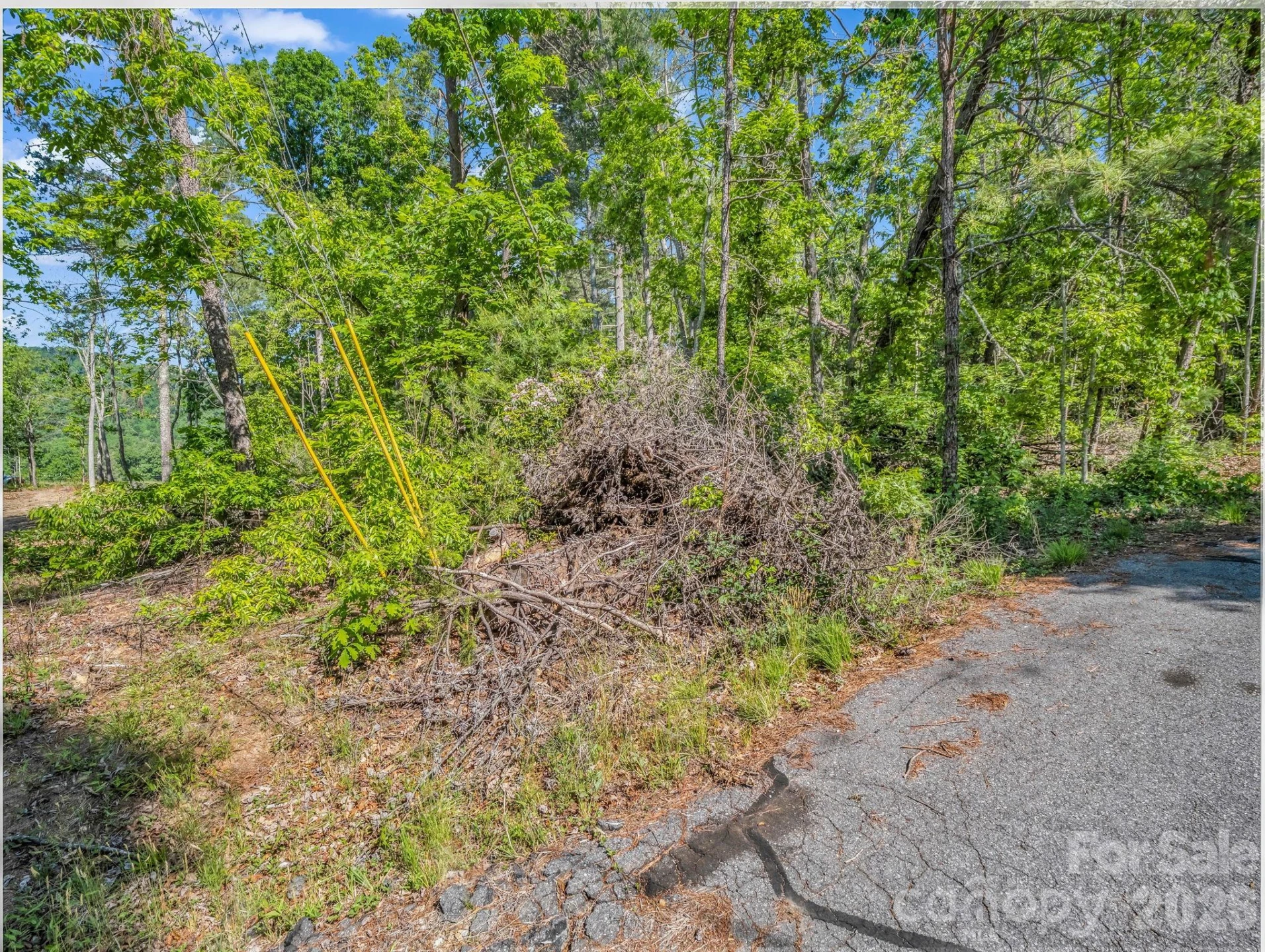 9999 Sedgewood Court - Photo 4