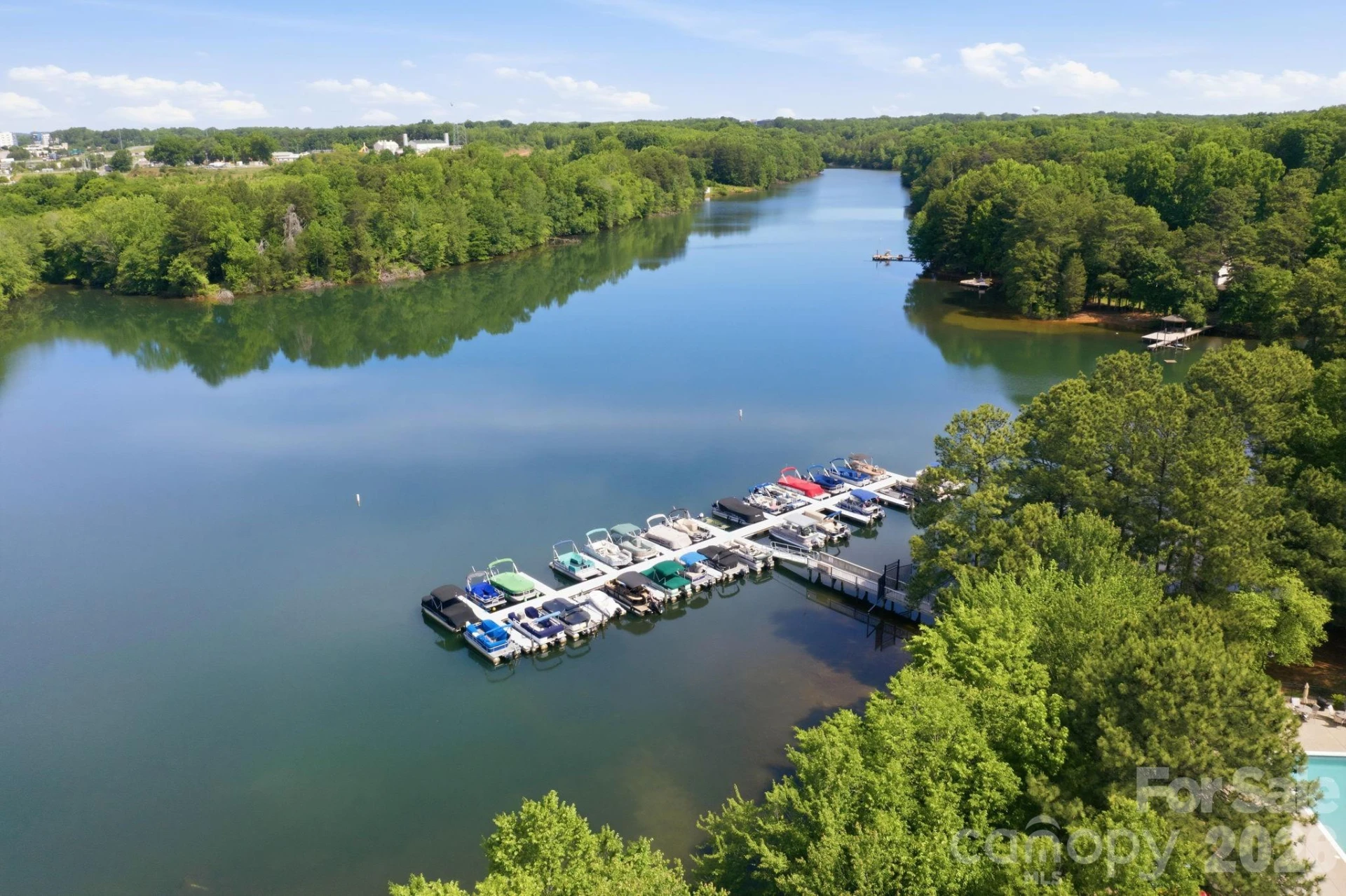 191 Lilac Mist Loop - Photo 45