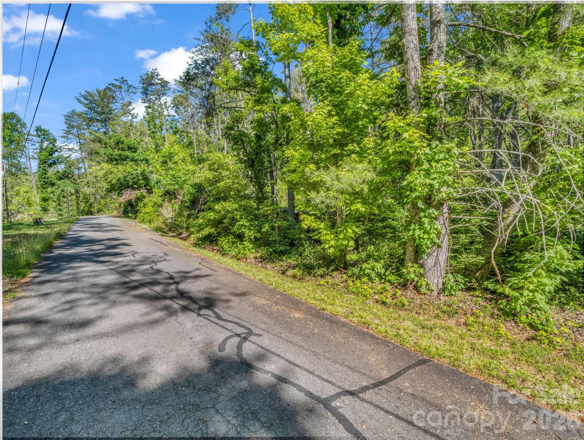99999 Sedgewood Court - Photo 3