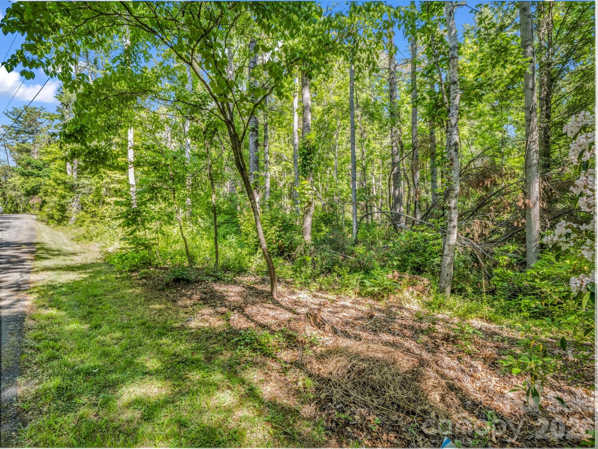 99999 Sedgewood Court - Photo 5