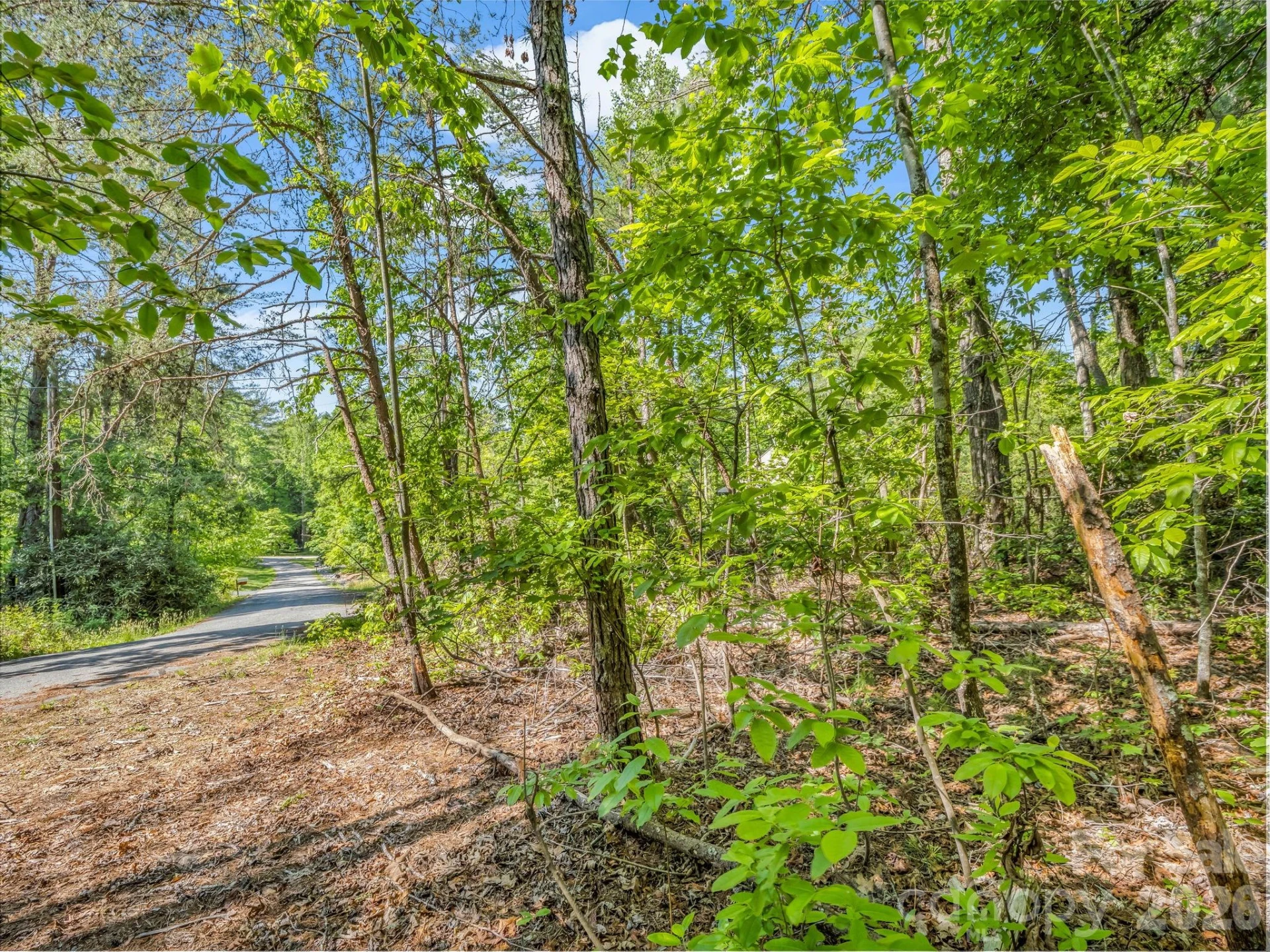 99999 Sedgewood Court - Photo 6