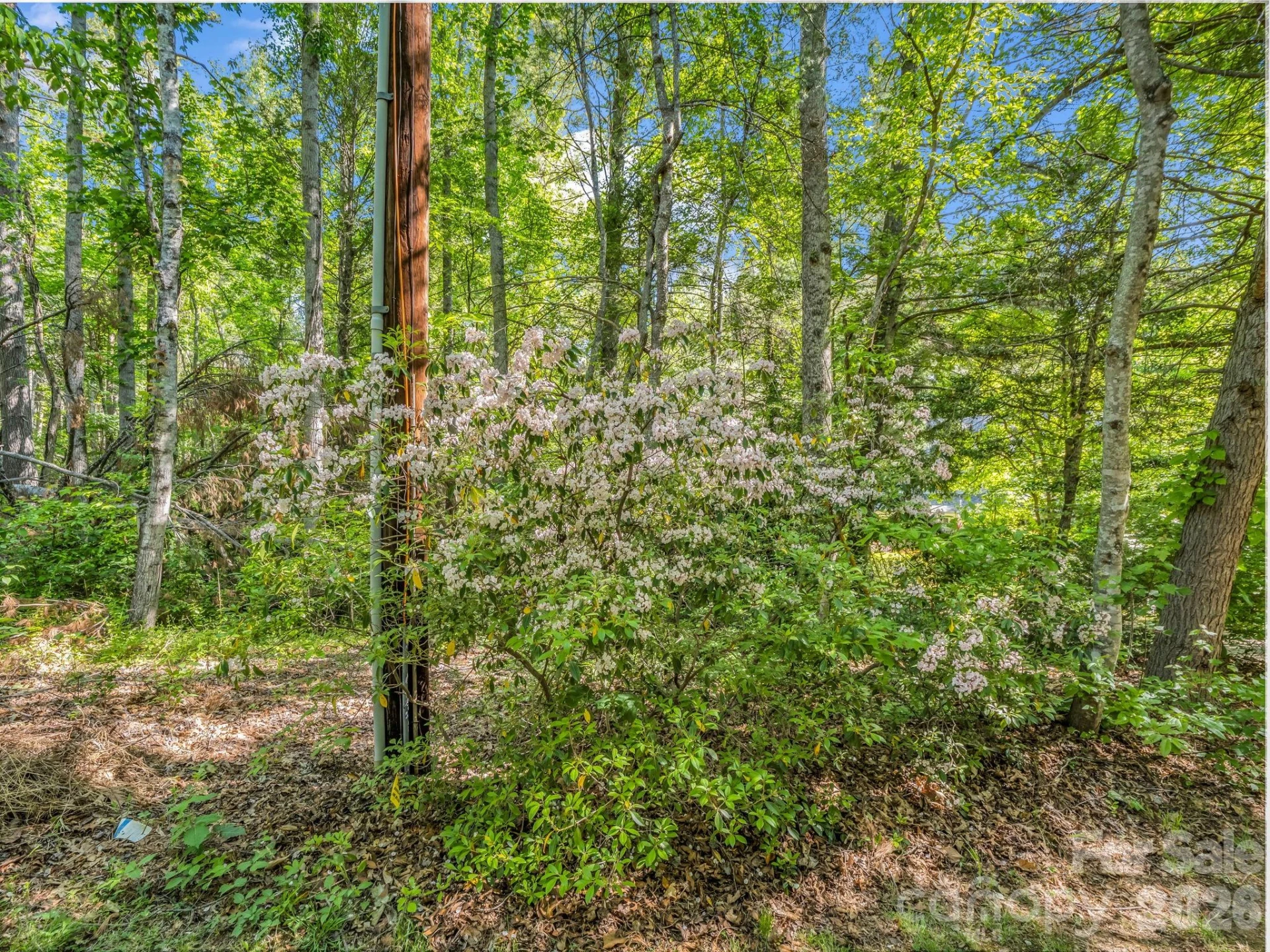 99999 Sedgewood Court - Photo 7