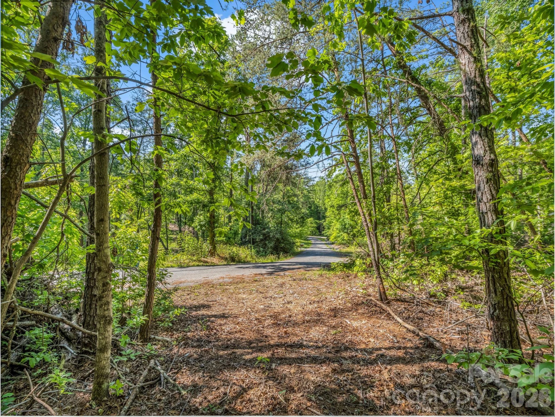 99999 Sedgewood Court - Photo 8