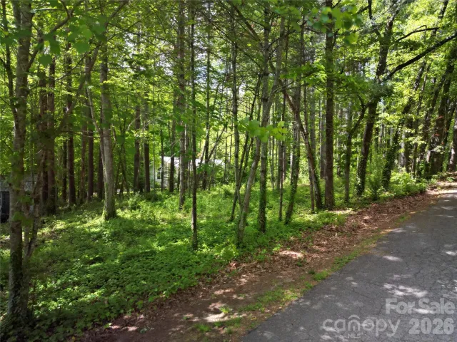164 Country Lane, Brevard, NC, 28712