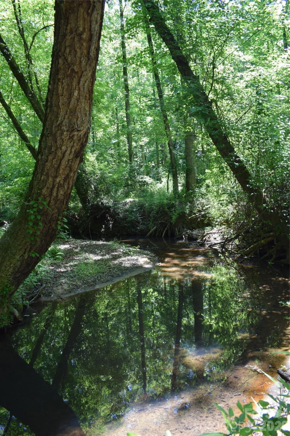 0 Floyd Blackwell Road - Photo 20