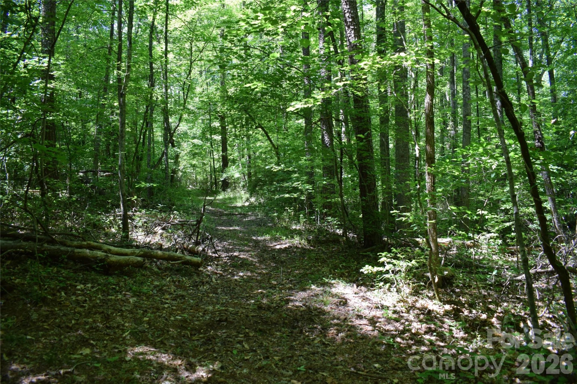 0 Floyd Blackwell Road - Photo 21