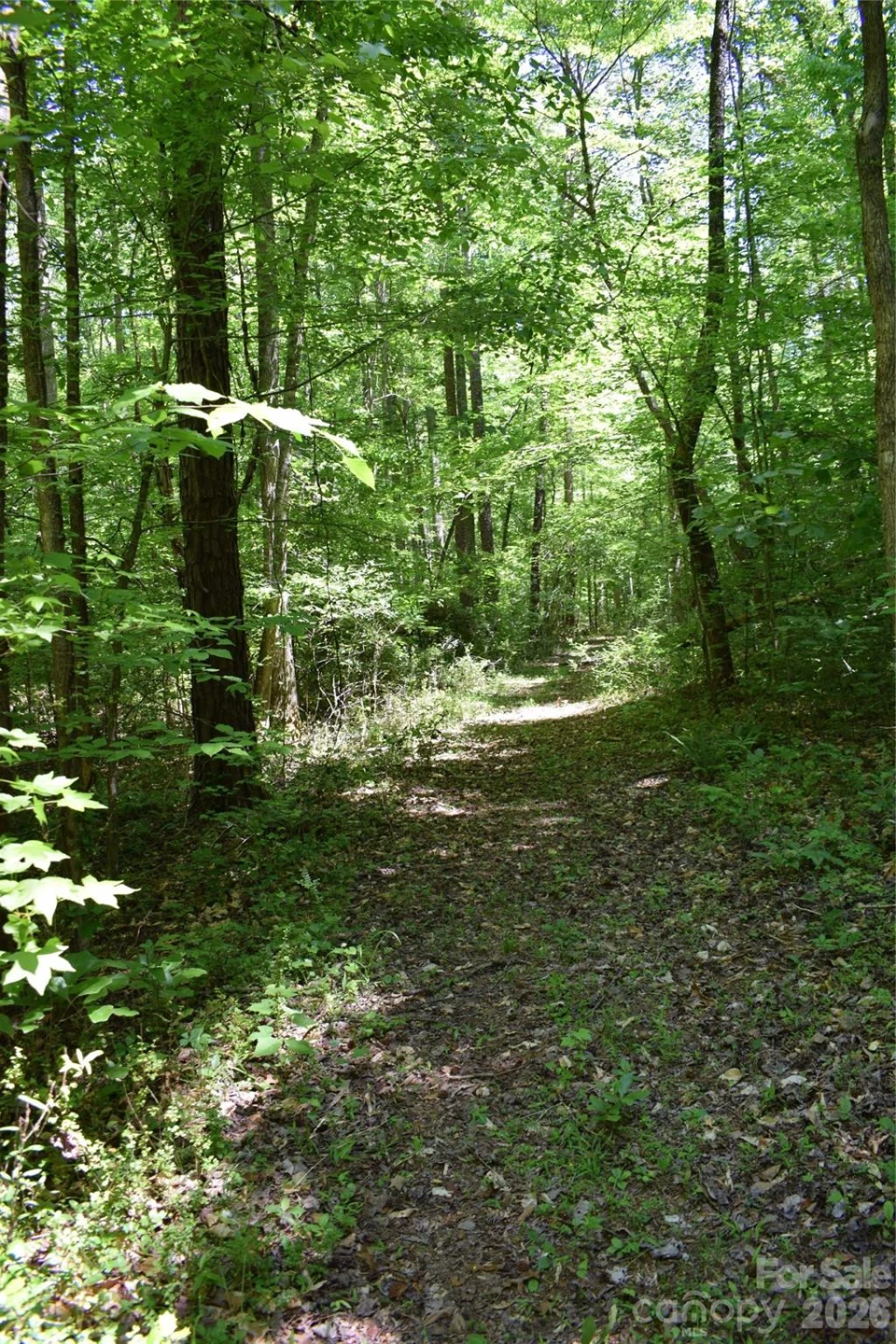 0 Floyd Blackwell Road - Photo 25