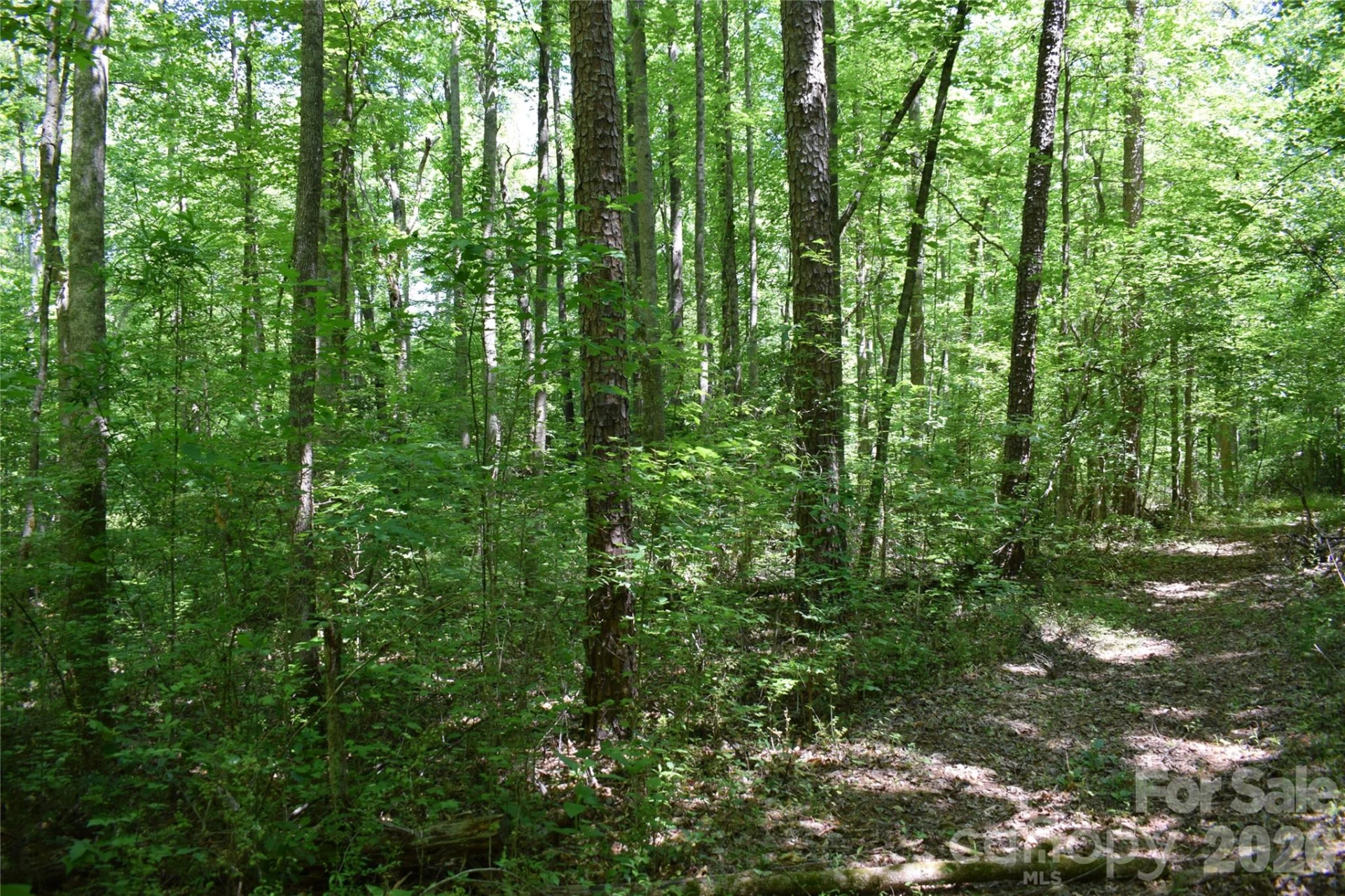 0 Floyd Blackwell Road - Photo 26