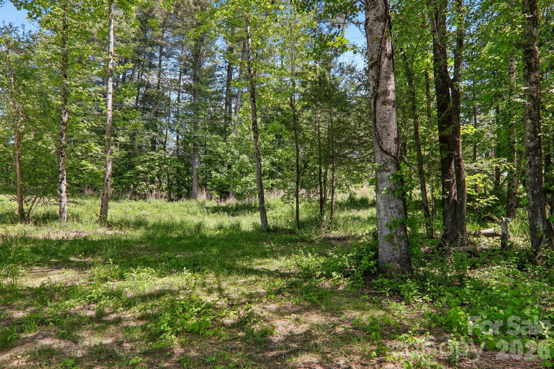 36 Haywood Crossing Drive - Photo 36