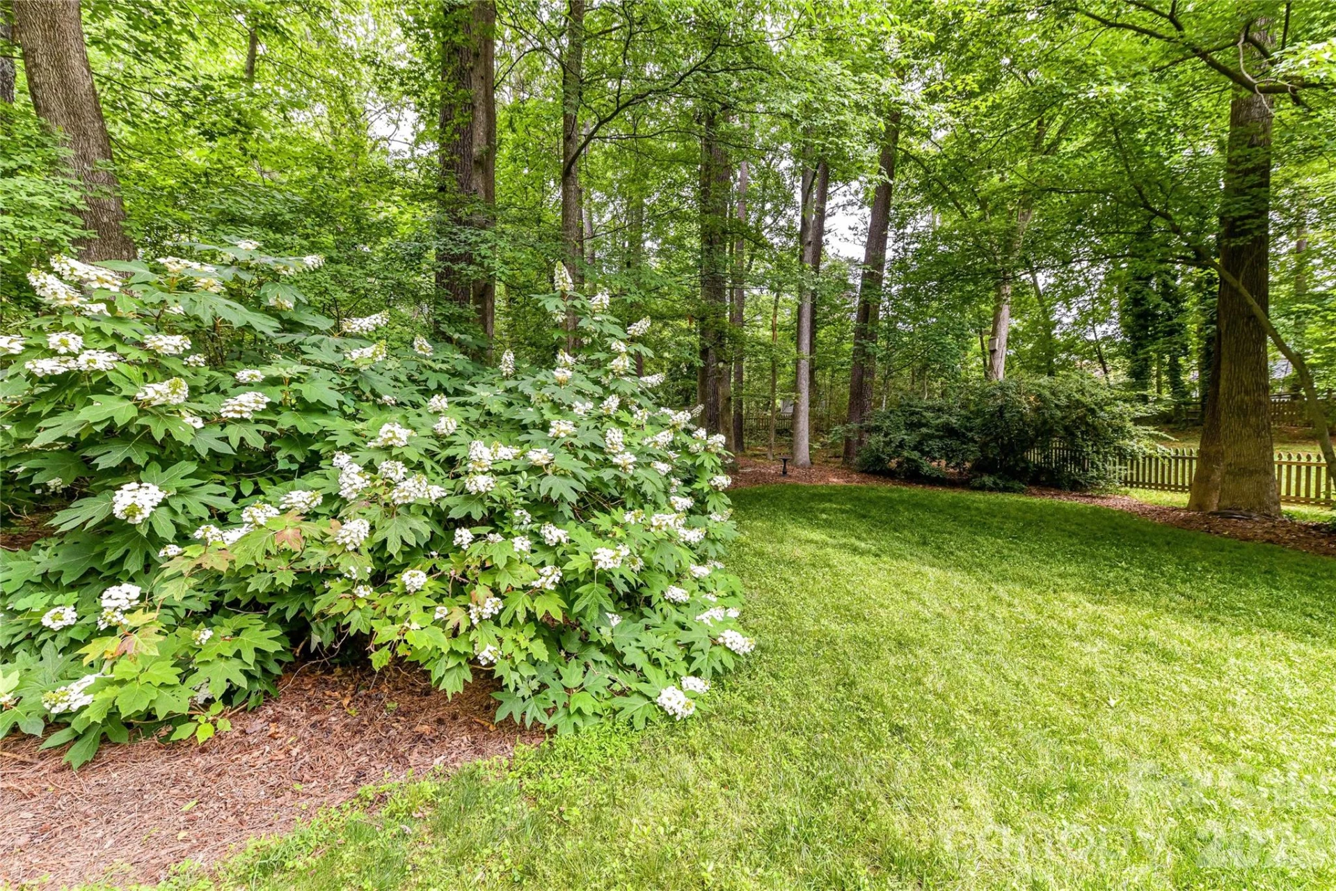 231 Pat Stough Lane - Photo 30