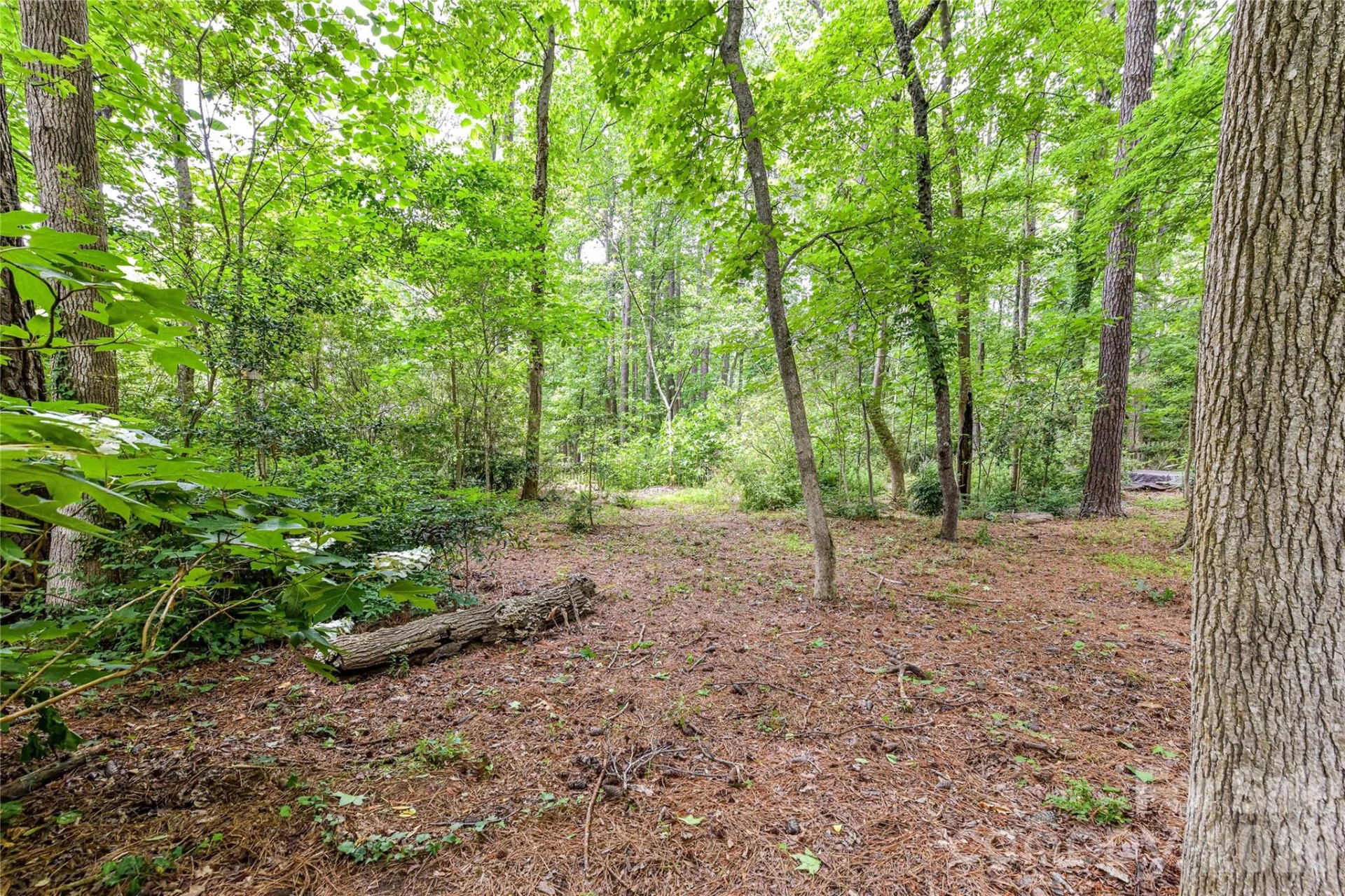 231 Pat Stough Lane - Photo 34