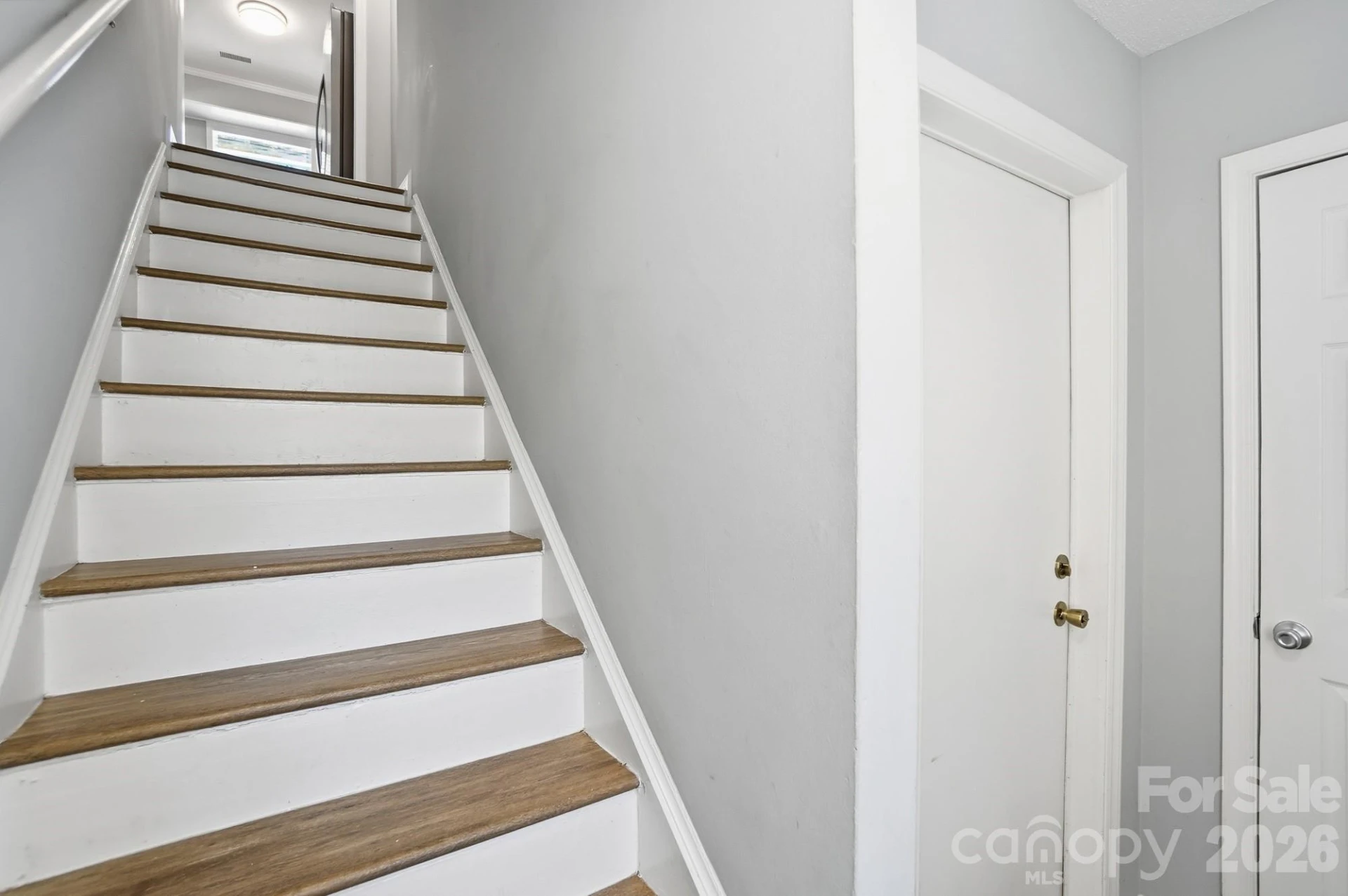 8529 Castle Pine Court - Photo 4