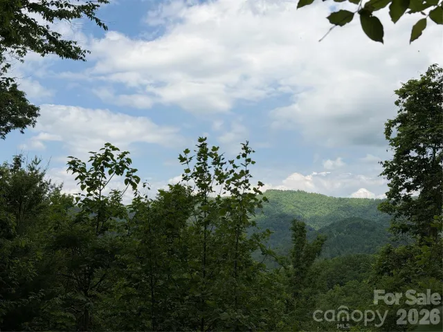 408 Arvil Gosnell Road, Marshall, NC, 28753