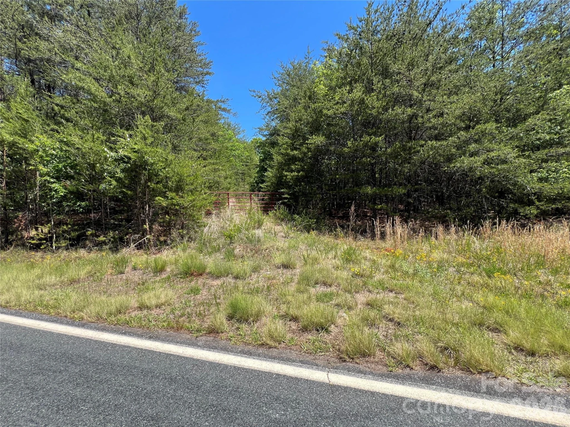 0 Luckadoo Mountain Road #177