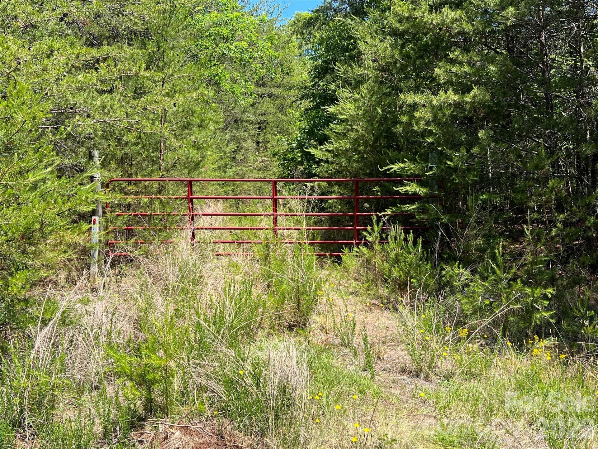 0 Luckadoo Mountain Road #177 - Photo 2