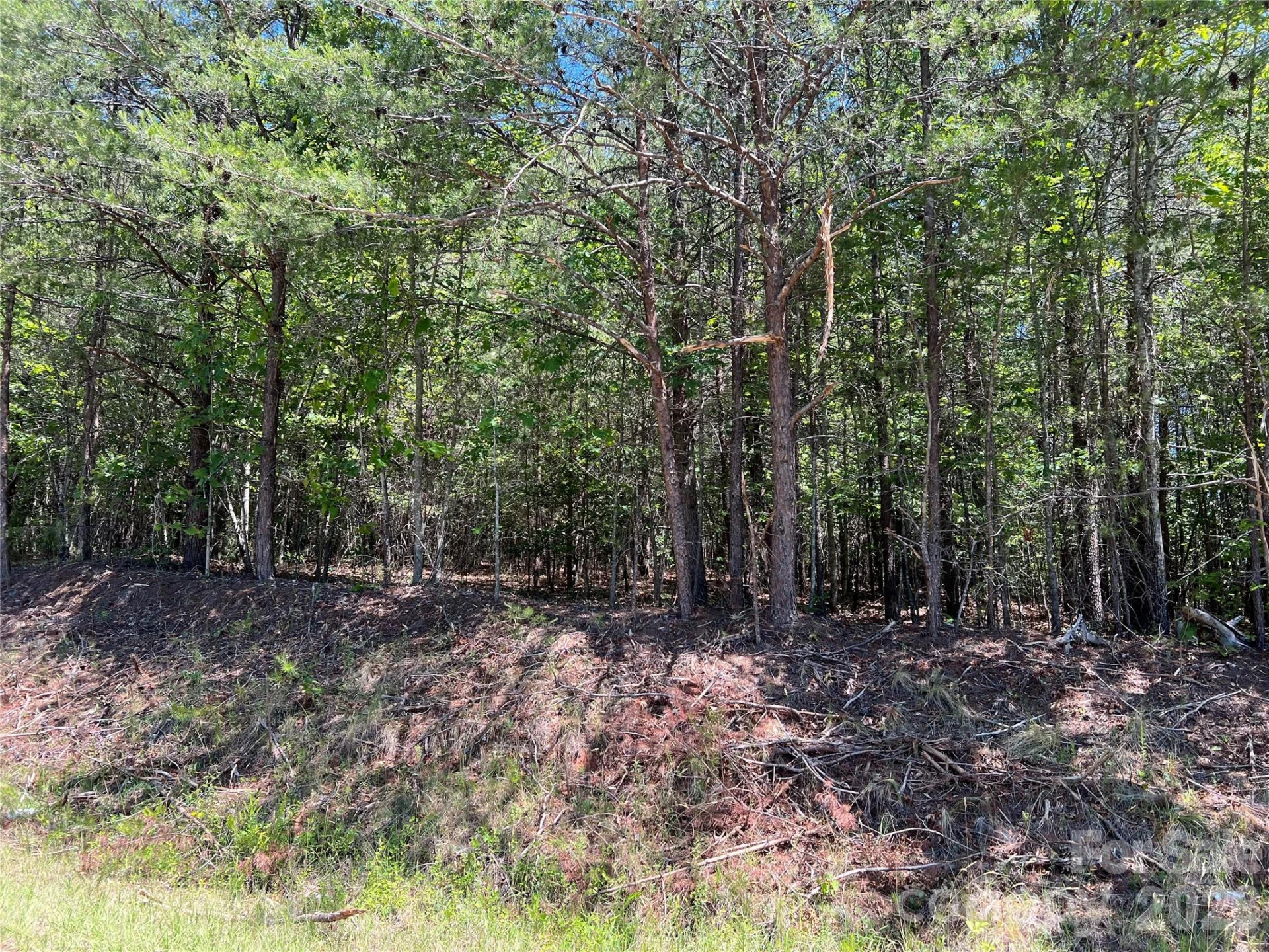 0 Luckadoo Mountain Road #177 - Photo 11