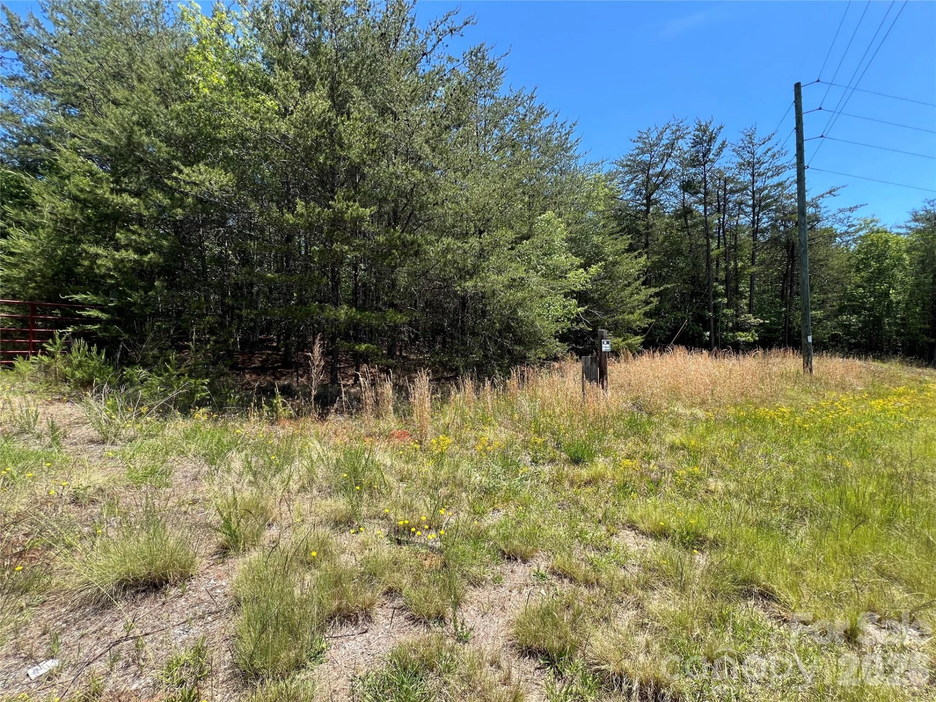 0 Luckadoo Mountain Road #177 - Photo 3