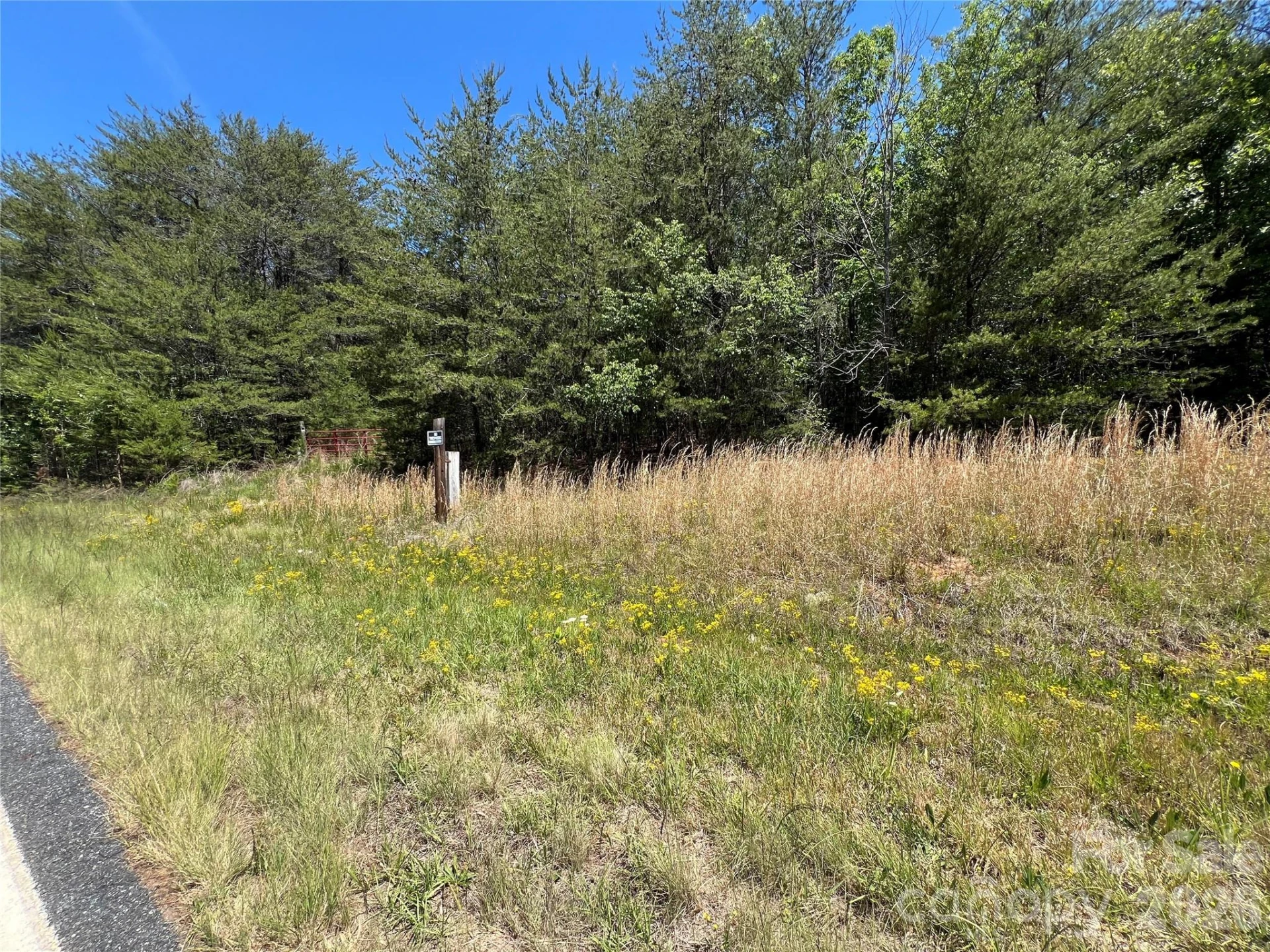 0 Luckadoo Mountain Road #177 - Photo 4