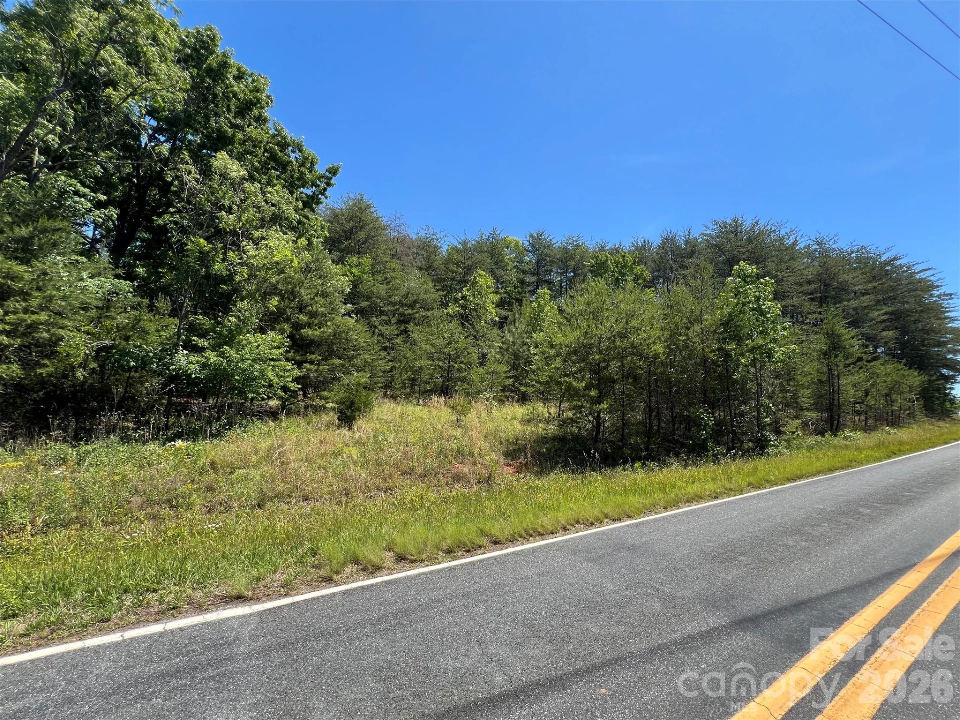 0 Luckadoo Mountain Road #177 - Photo 5