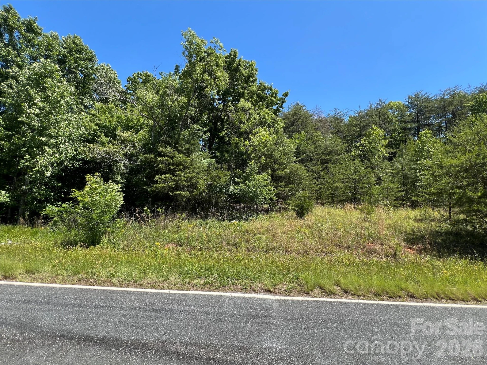 0 Luckadoo Mountain Road #177 - Photo 6
