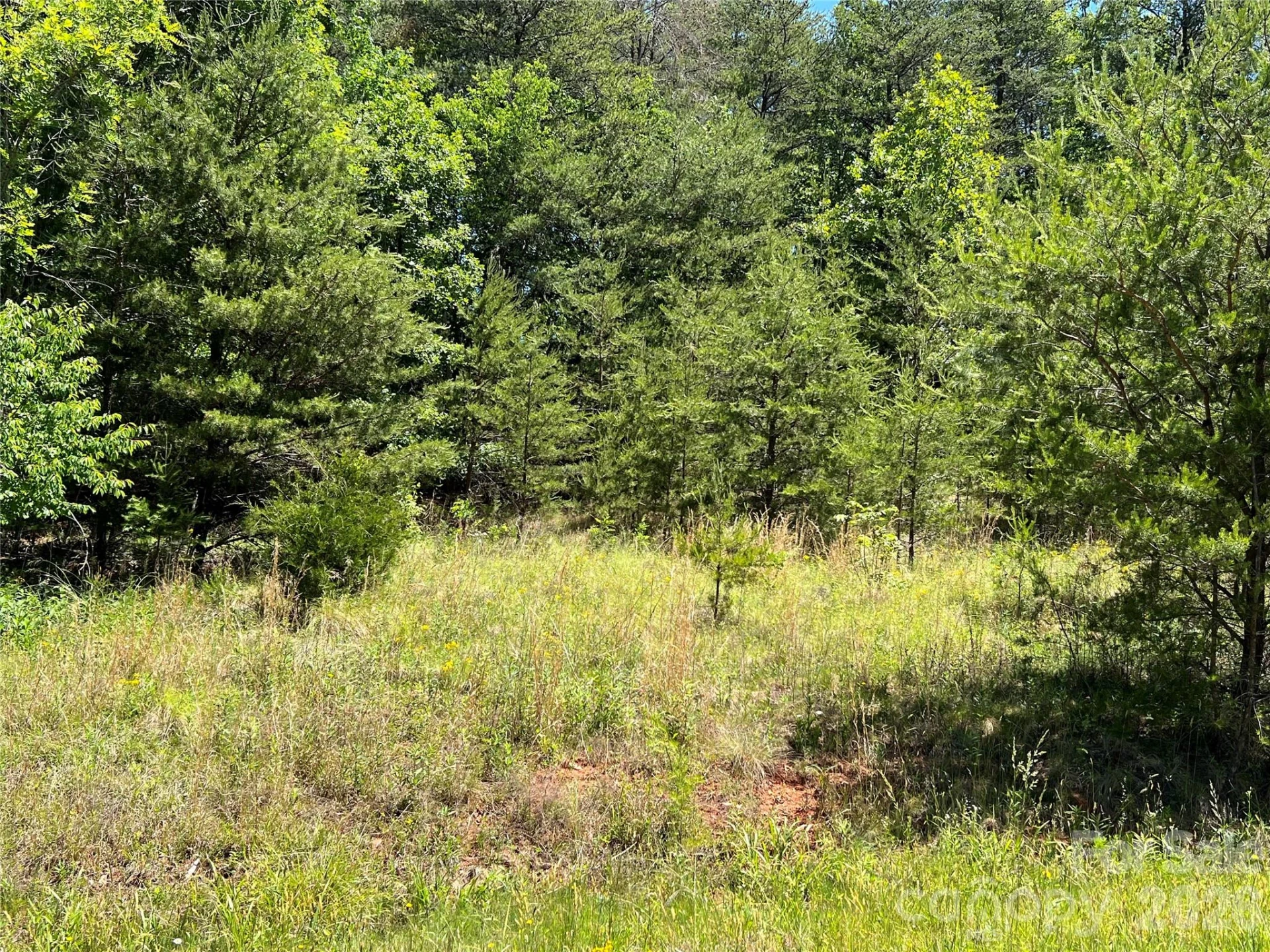 0 Luckadoo Mountain Road #177 - Photo 8