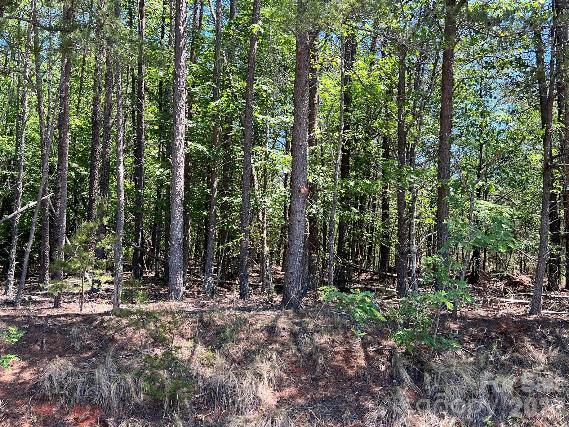 0 Luckadoo Mountain Road #177 - Photo 9