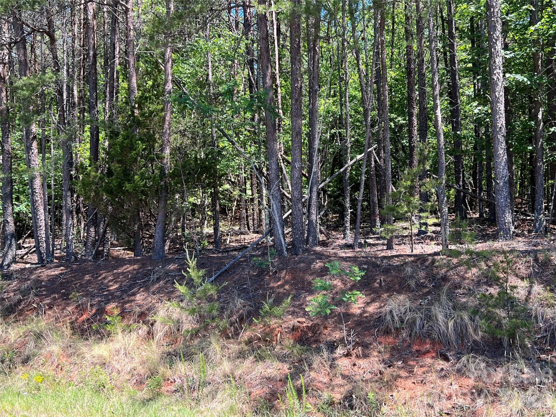 0 Luckadoo Mountain Road #177 - Photo 10