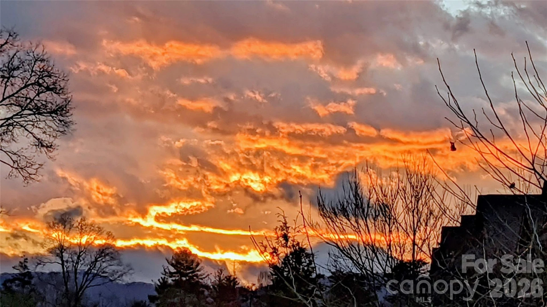 3 Holland Mountain View - Photo 25