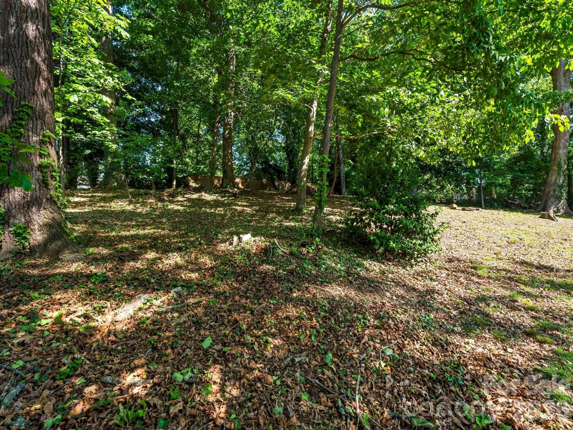 36 Robinwood Avenue - Photo 42