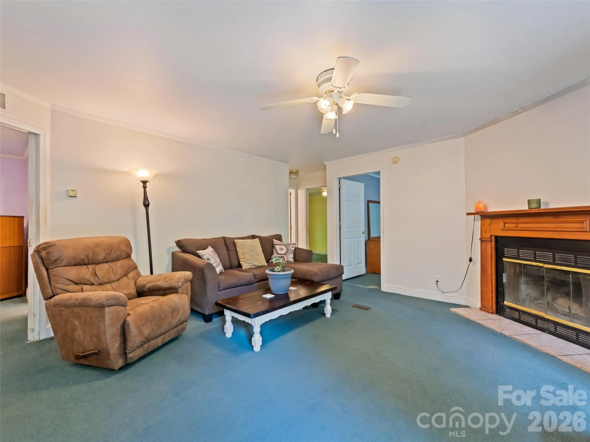 122 Mastiff Hollow Drive - Photo 6
