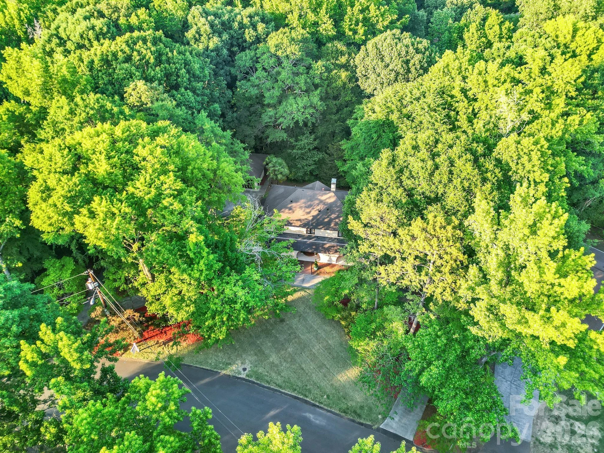 6512 Carmel Hills Drive - Photo 6