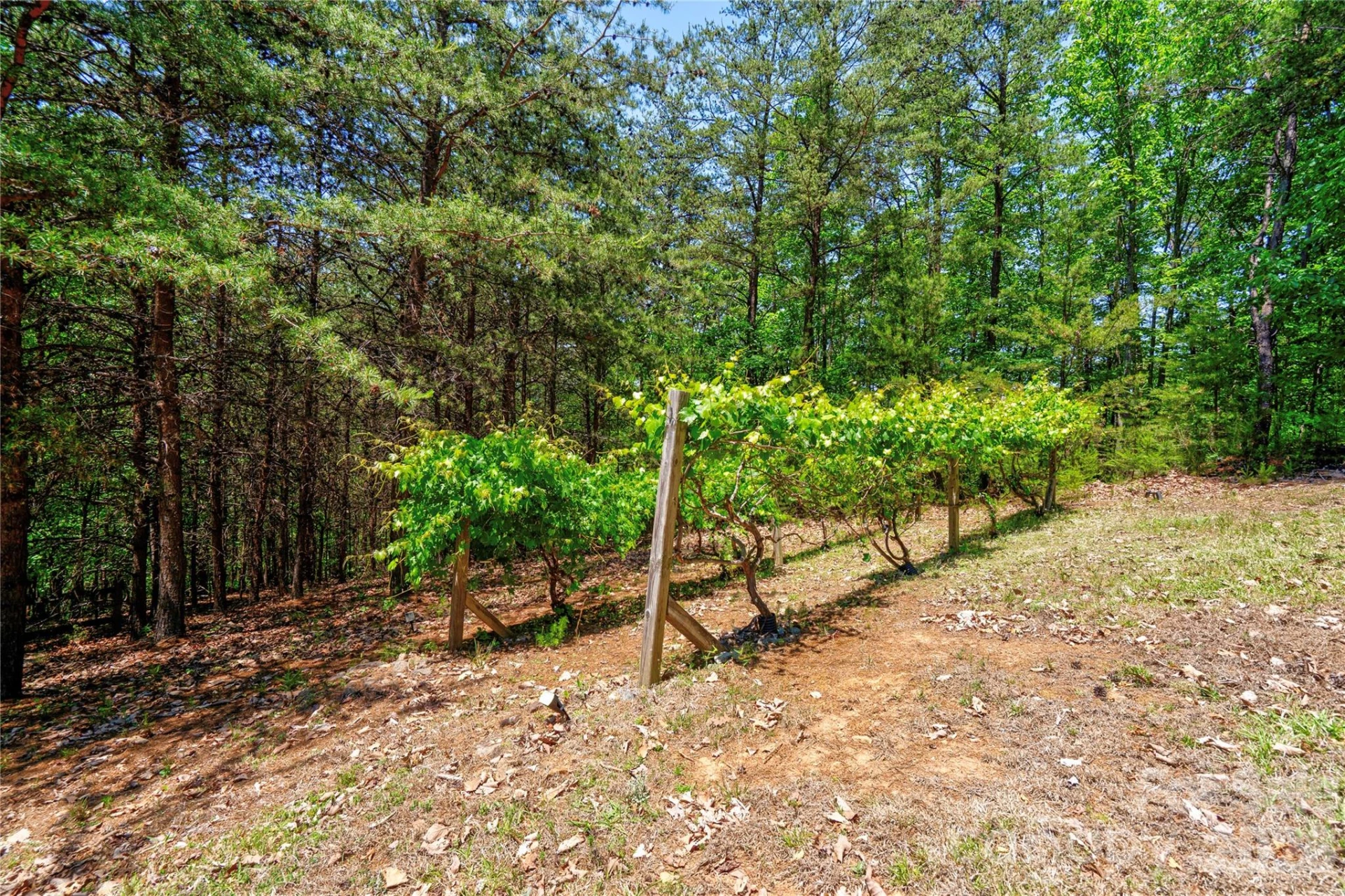 389 Woodgate Drive - Photo 17