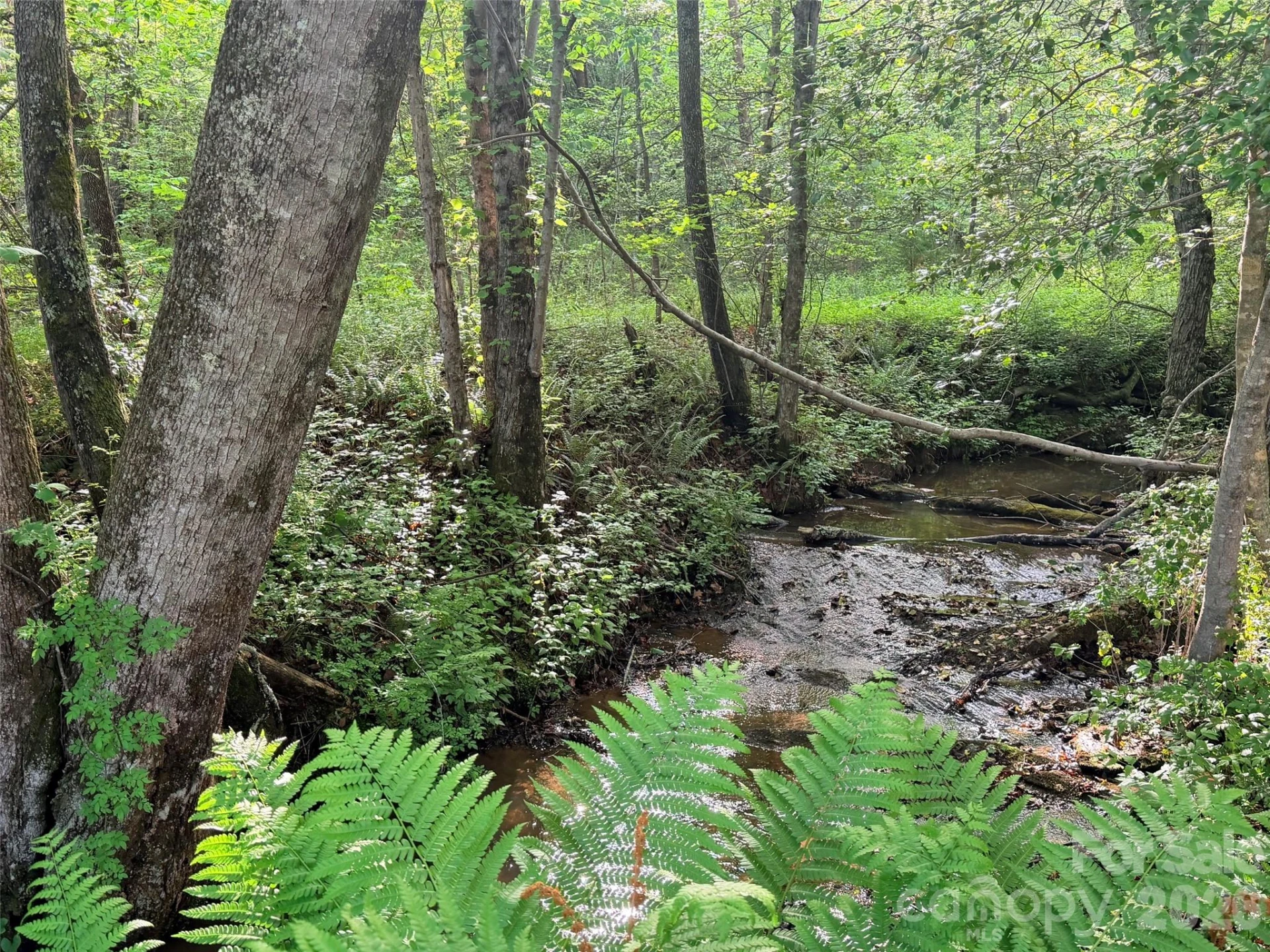 Lot 64 Shuttle Mill Crossing - Photo 5