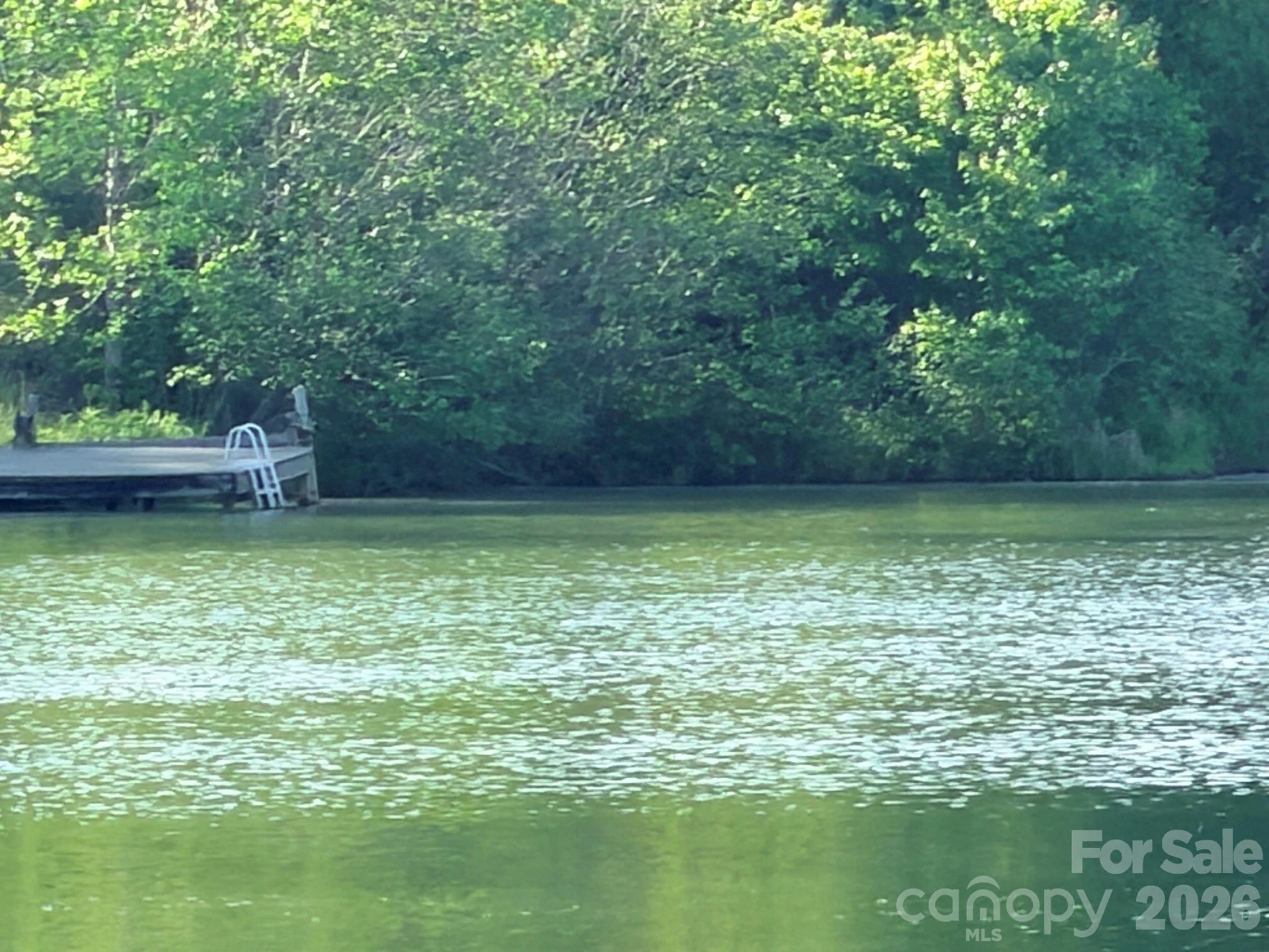 Lot 64 Shuttle Mill Crossing - Photo 6