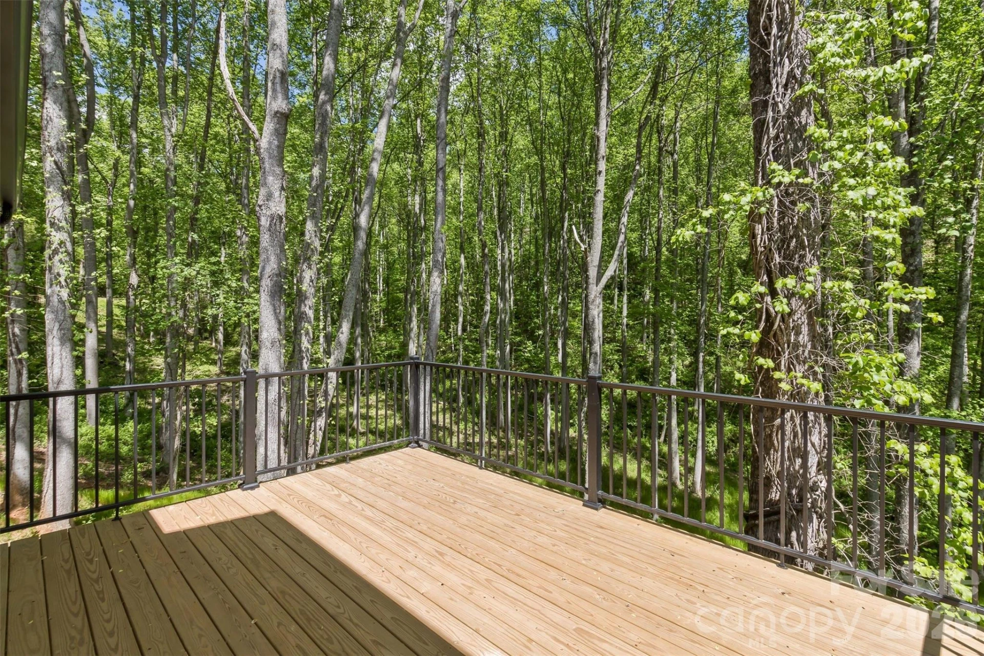 61 Bamboo Trail - Photo 23