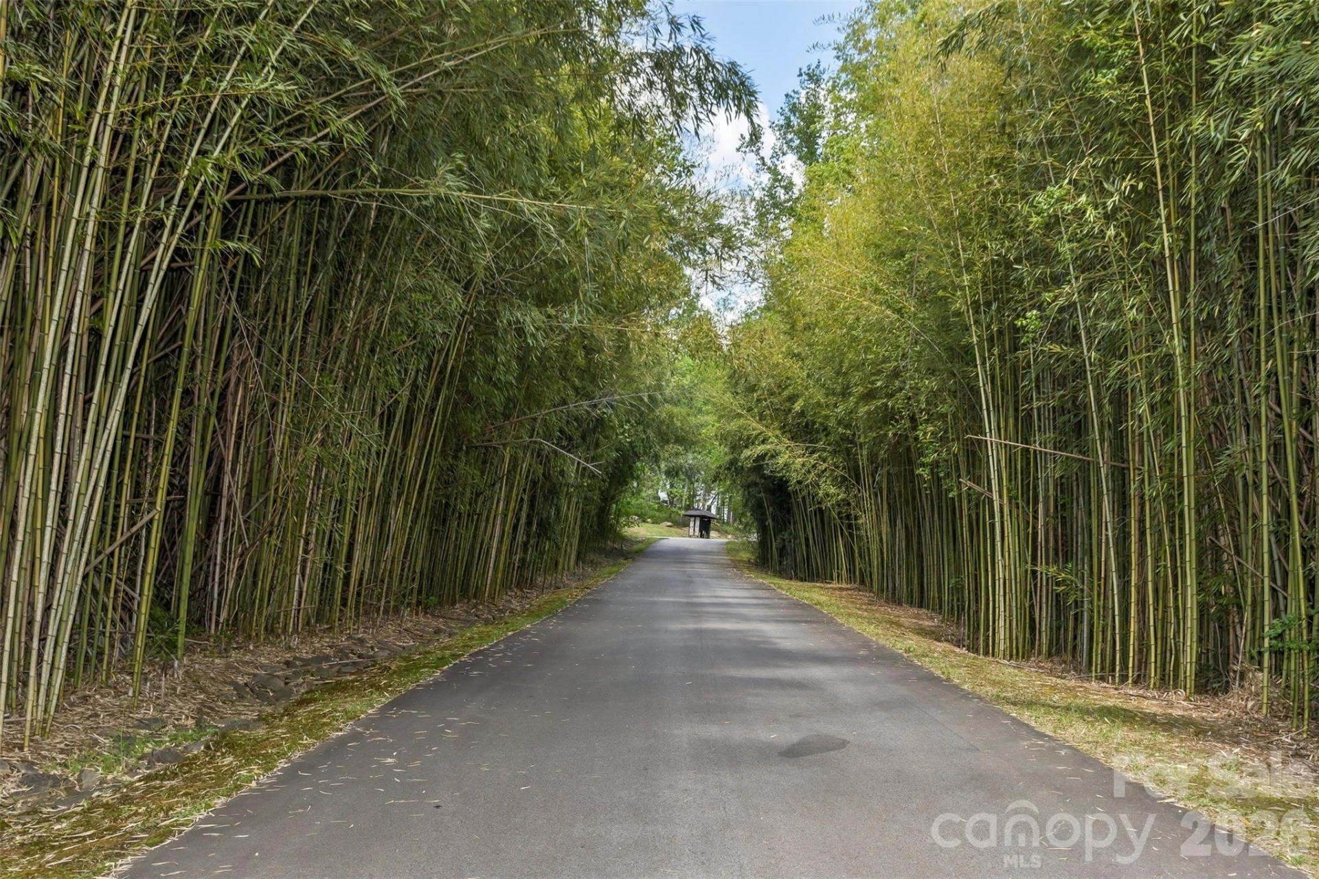 61 Bamboo Trail - Photo 37