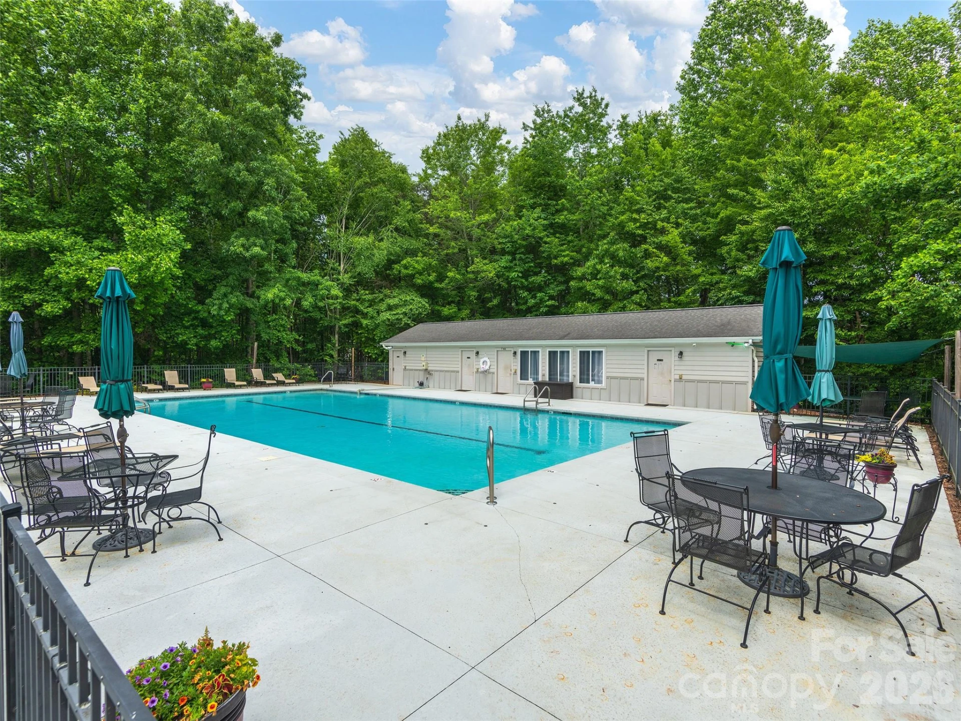48 Smokemont Drive - Photo 48