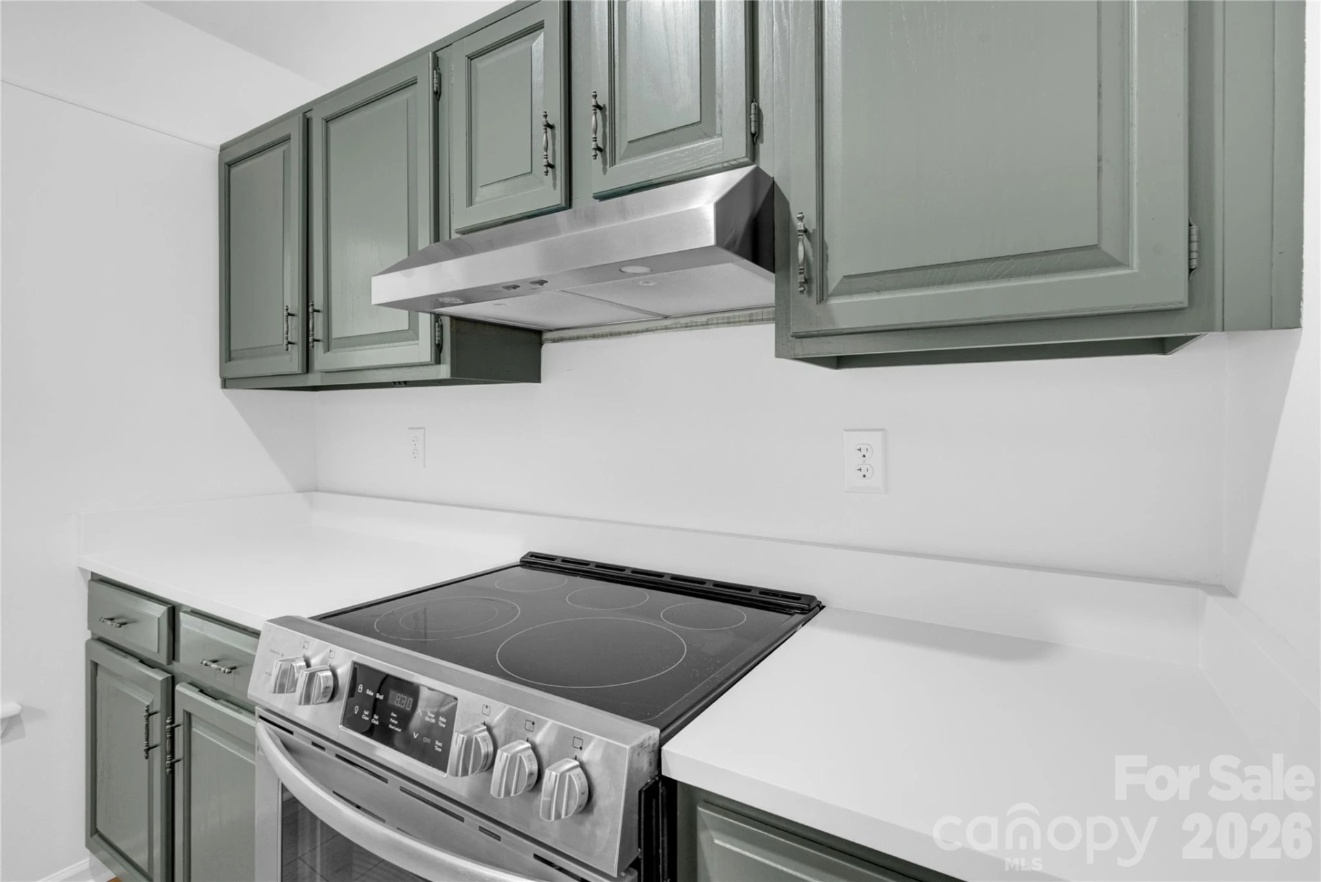2734 Tiergarten Lane - Photo 10