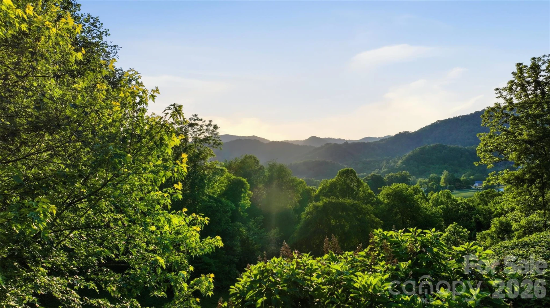 15 Racoon Point - Photo 40