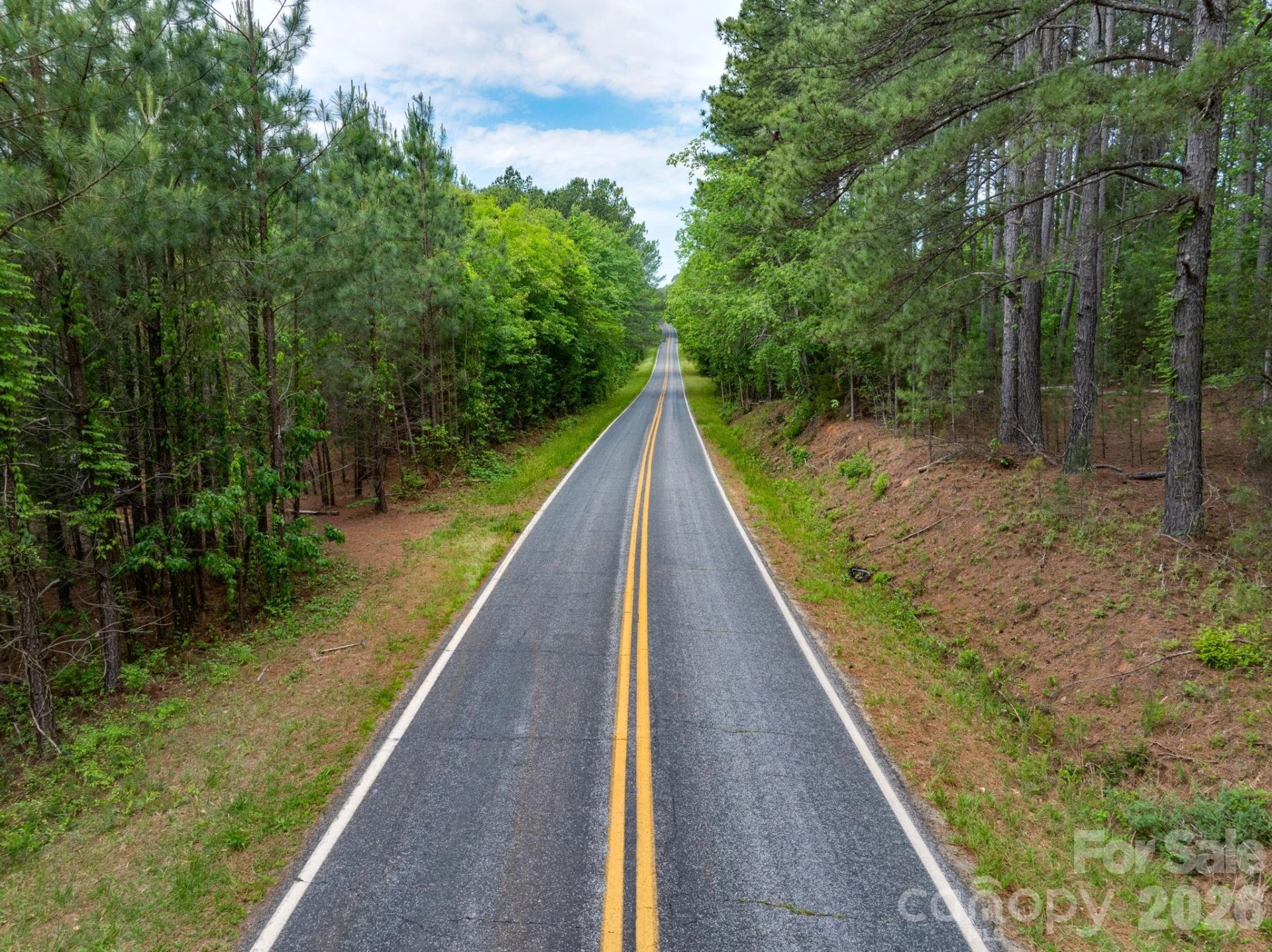 00 Jack Moore Mountain Road - Photo 3