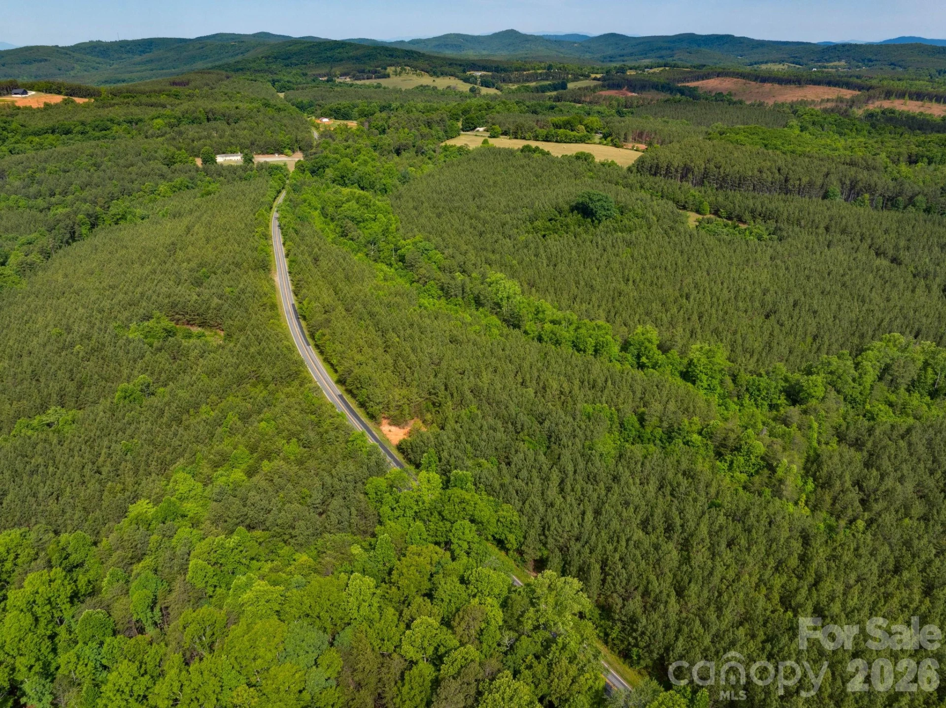 00 Jack Moore Mountain Road - Photo 8