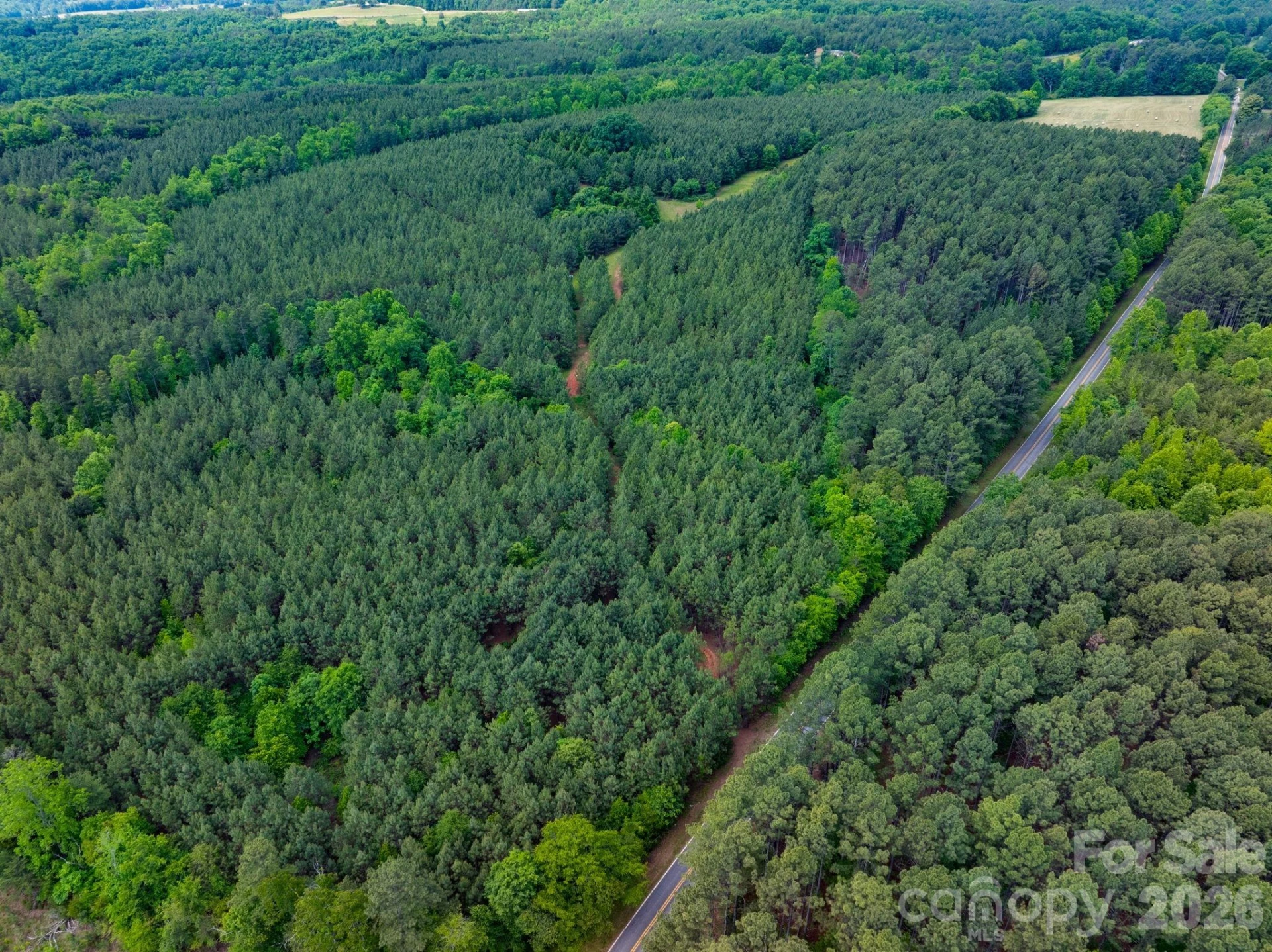 00 Jack Moore Mountain Road - Photo 9